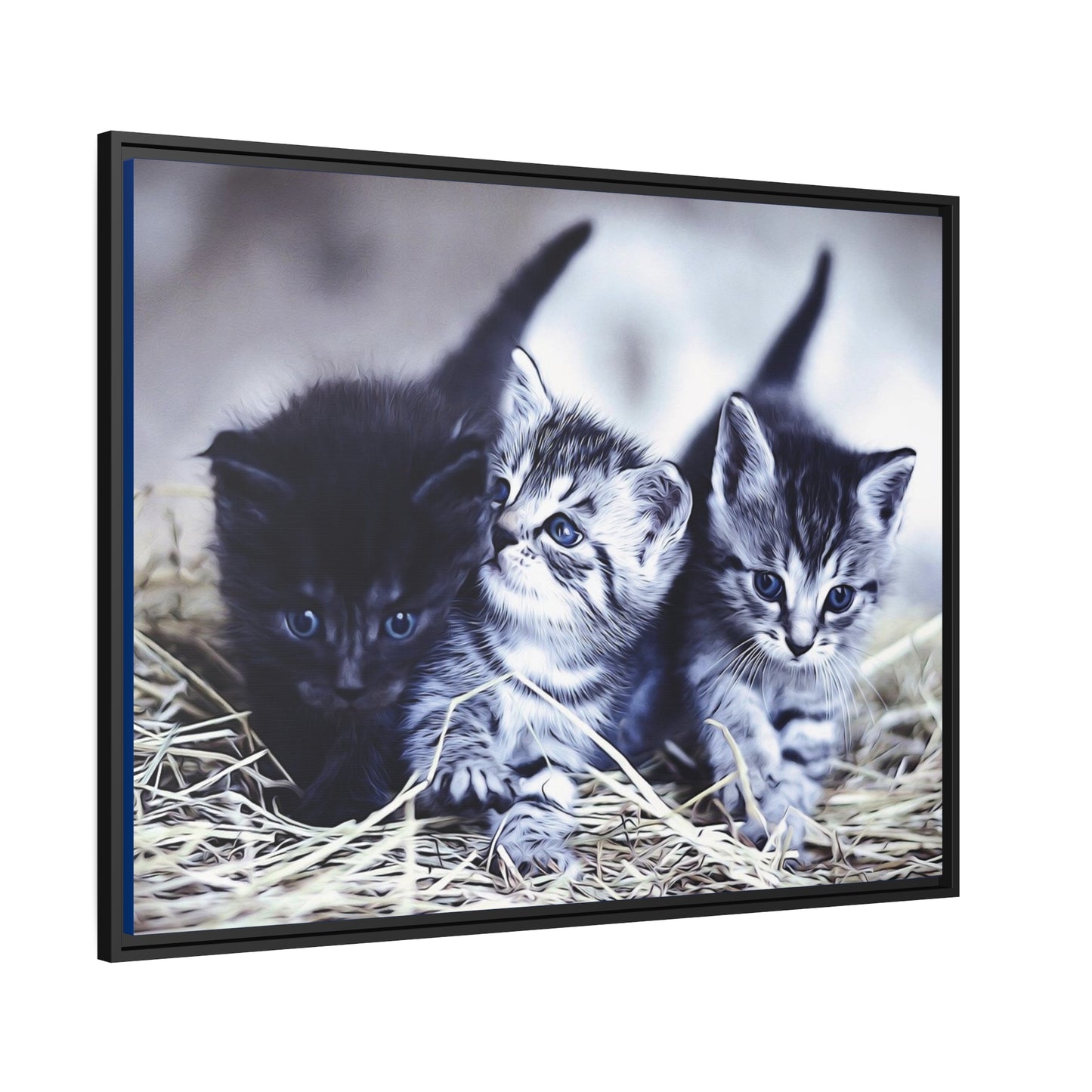 Kitten Matte Canvas, Black Frame