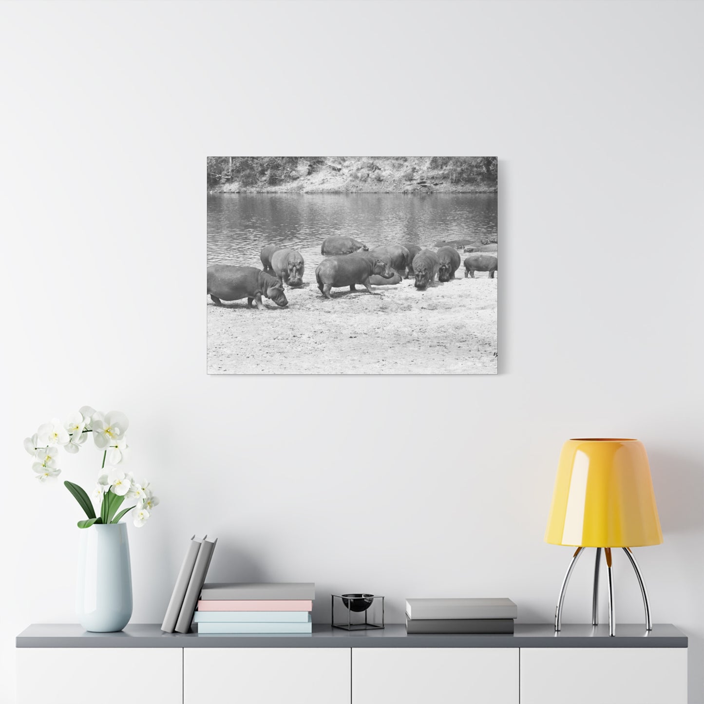 Hippopotamus Matte Canvas, Stretched, 1.25"