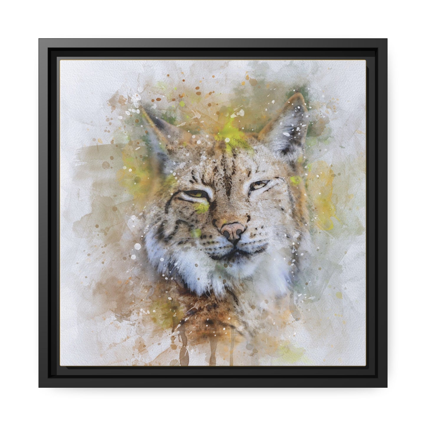 Bobcat Matte Canvas, Black Frame