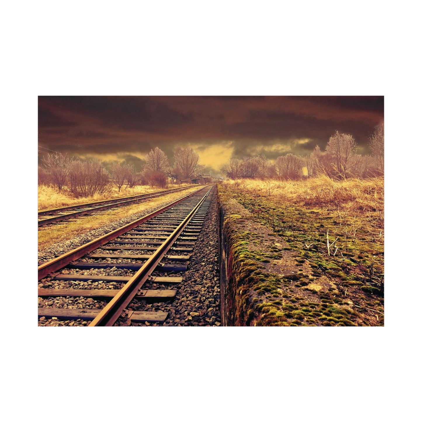 Tracks Rolled Posters