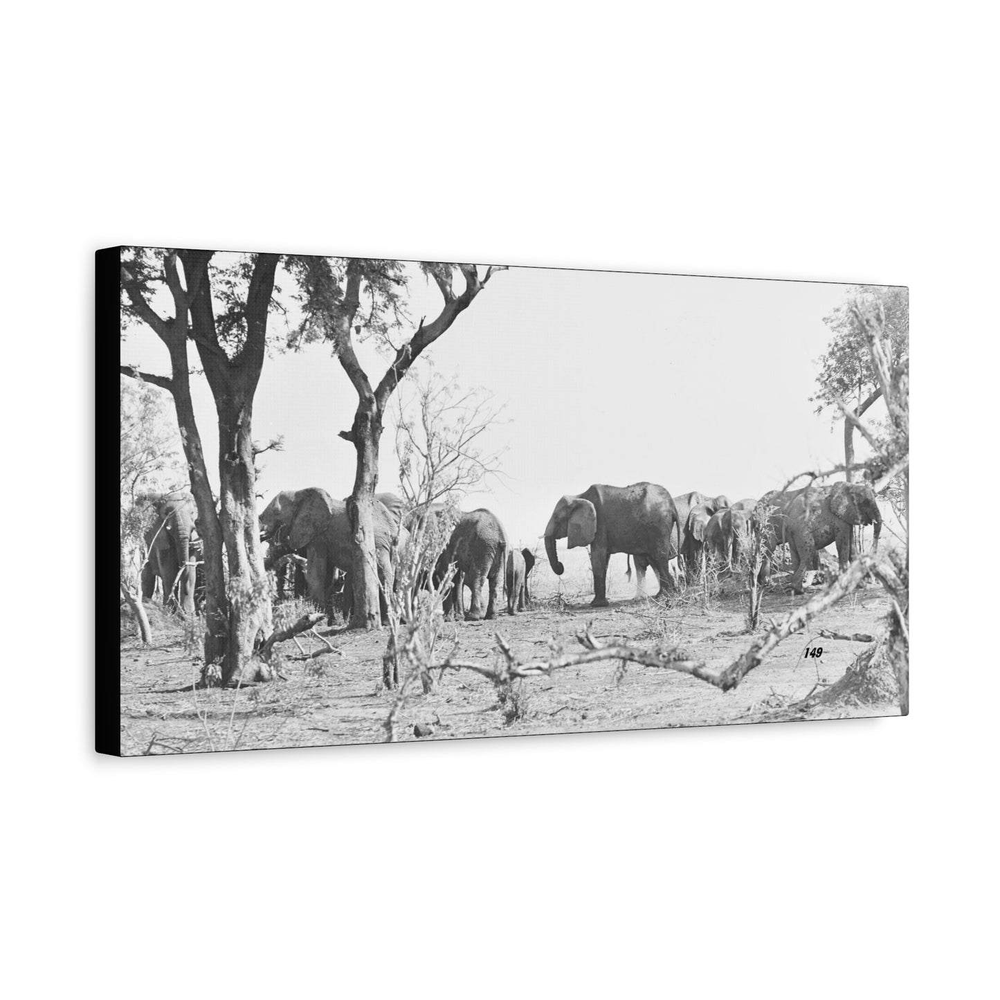 Elephants Matte Canvas, Stretched, 1.25"