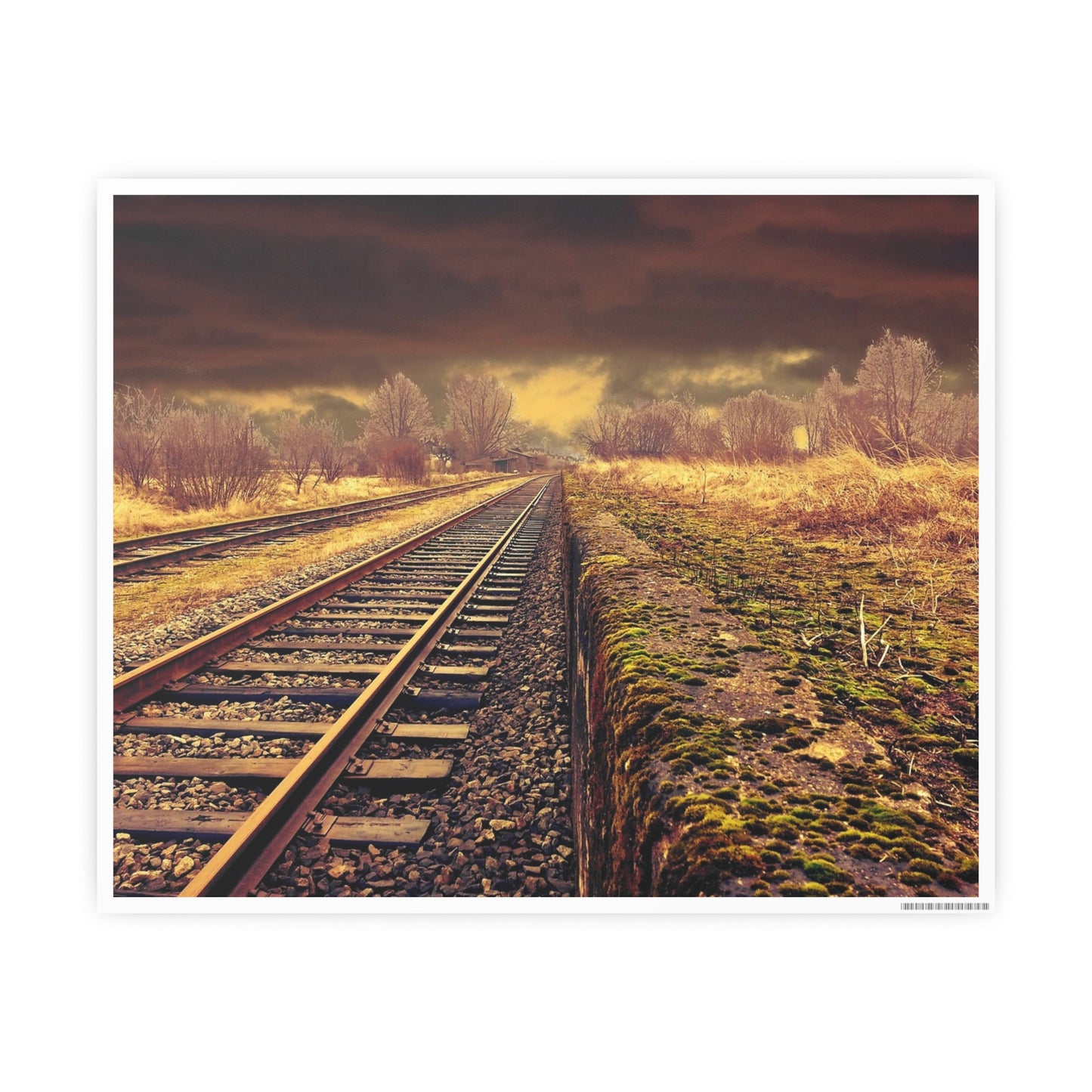 Tracks Photo Art Paper Posters