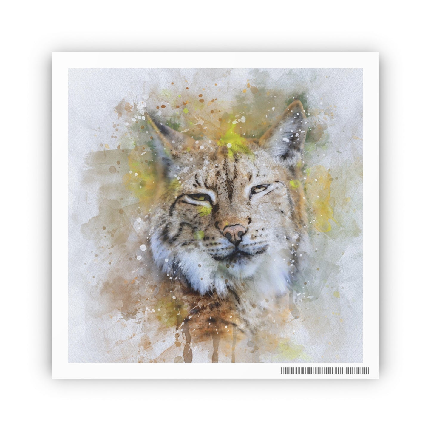 Bobcat Photo Art Paper Posters