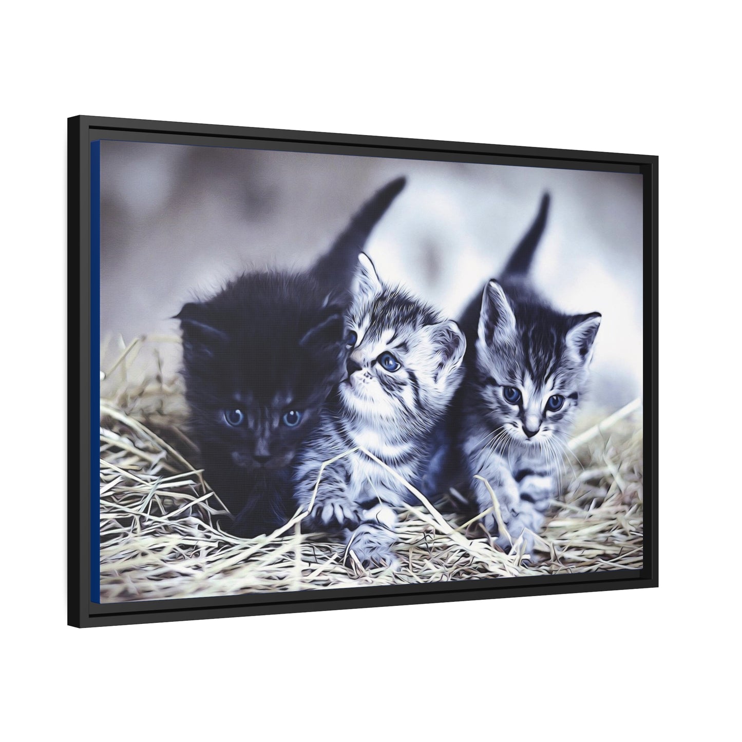 Kitten Matte Canvas, Black Frame