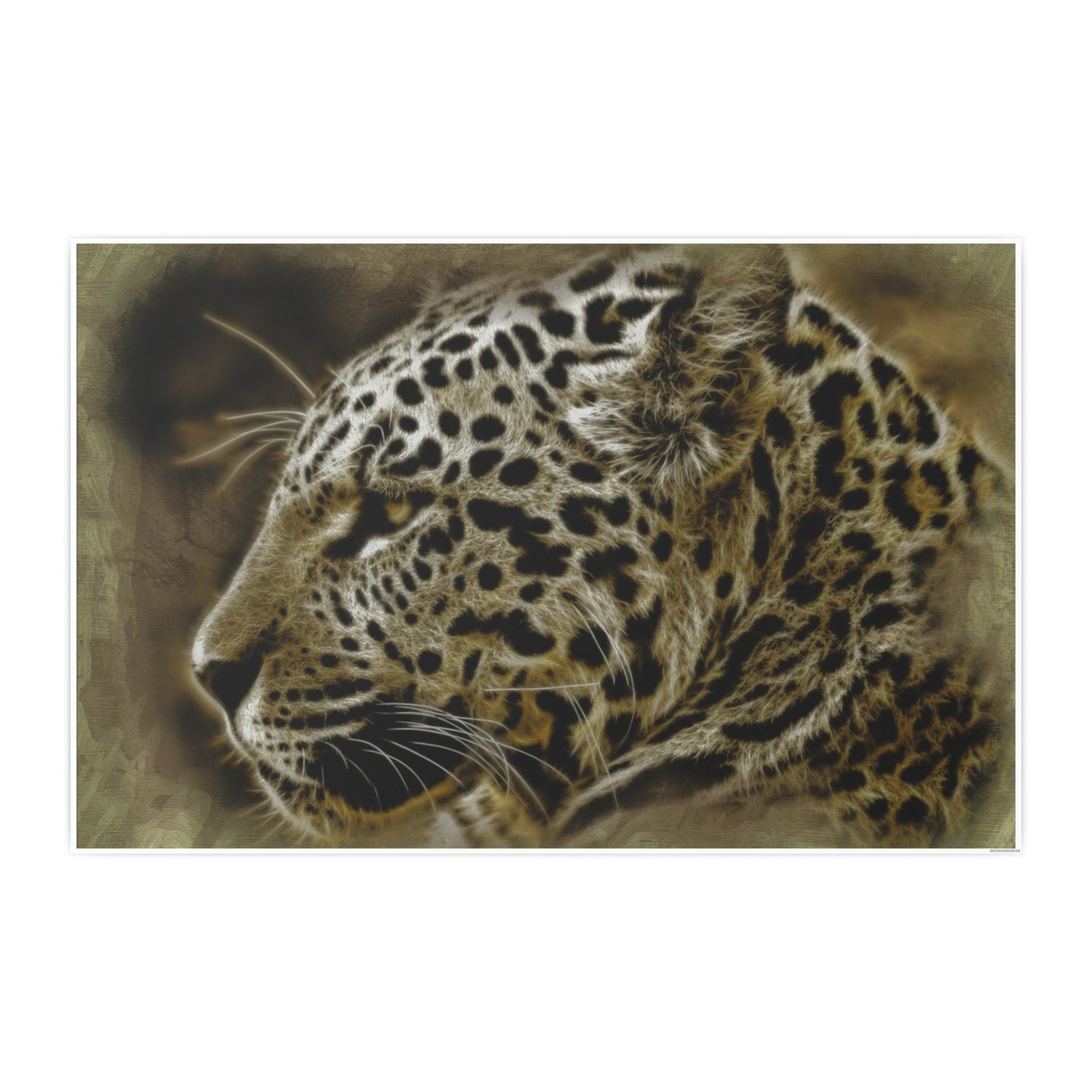 Jaguar Photo Art Paper Posters