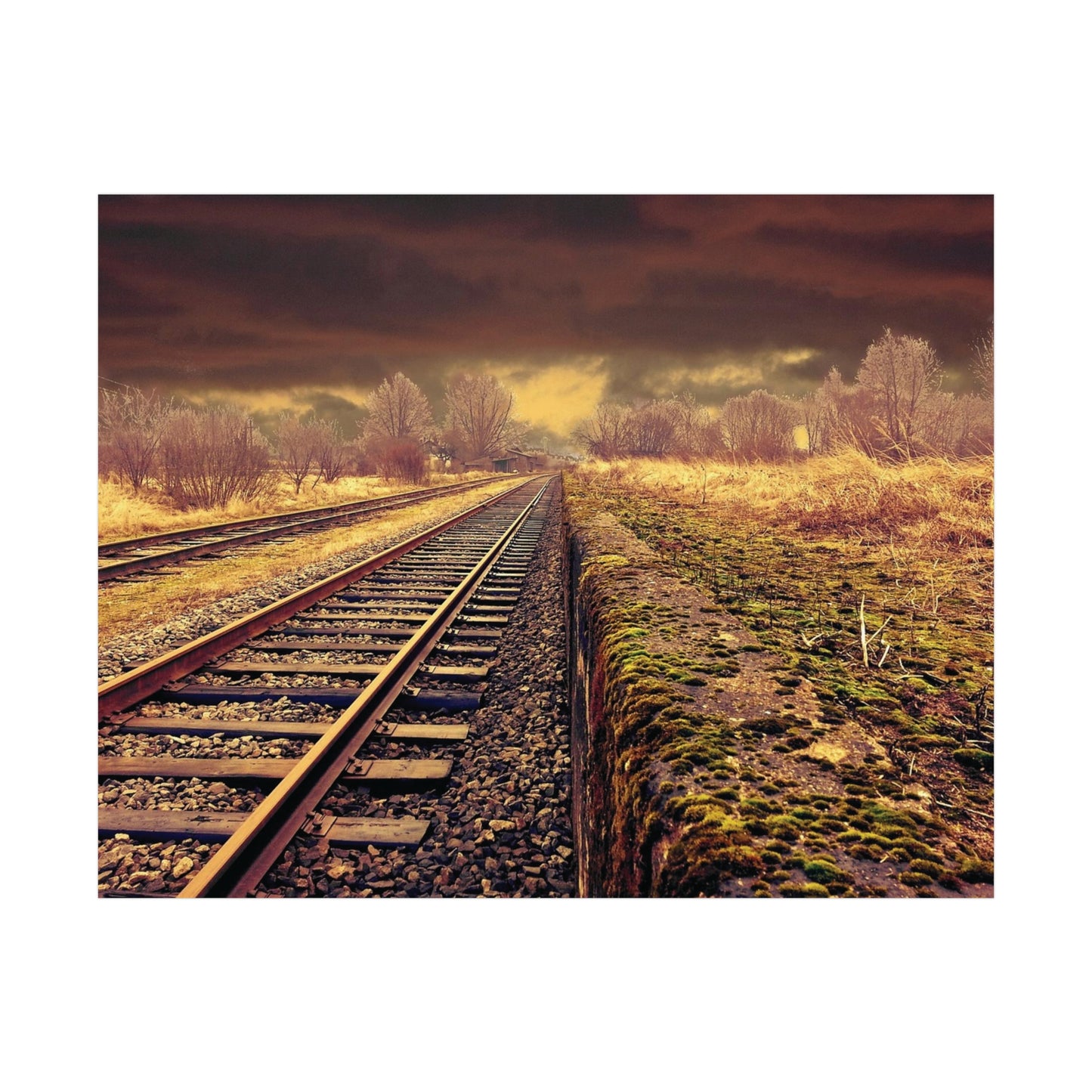 Tracks Rolled Posters