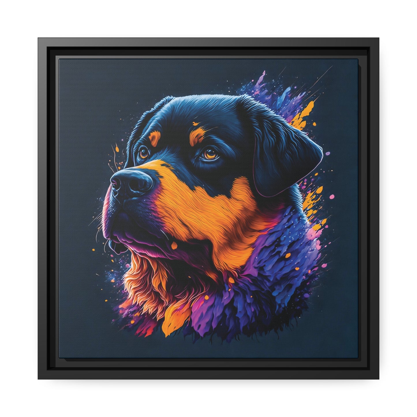 Rottweiler Matte Canvas, Black Frame