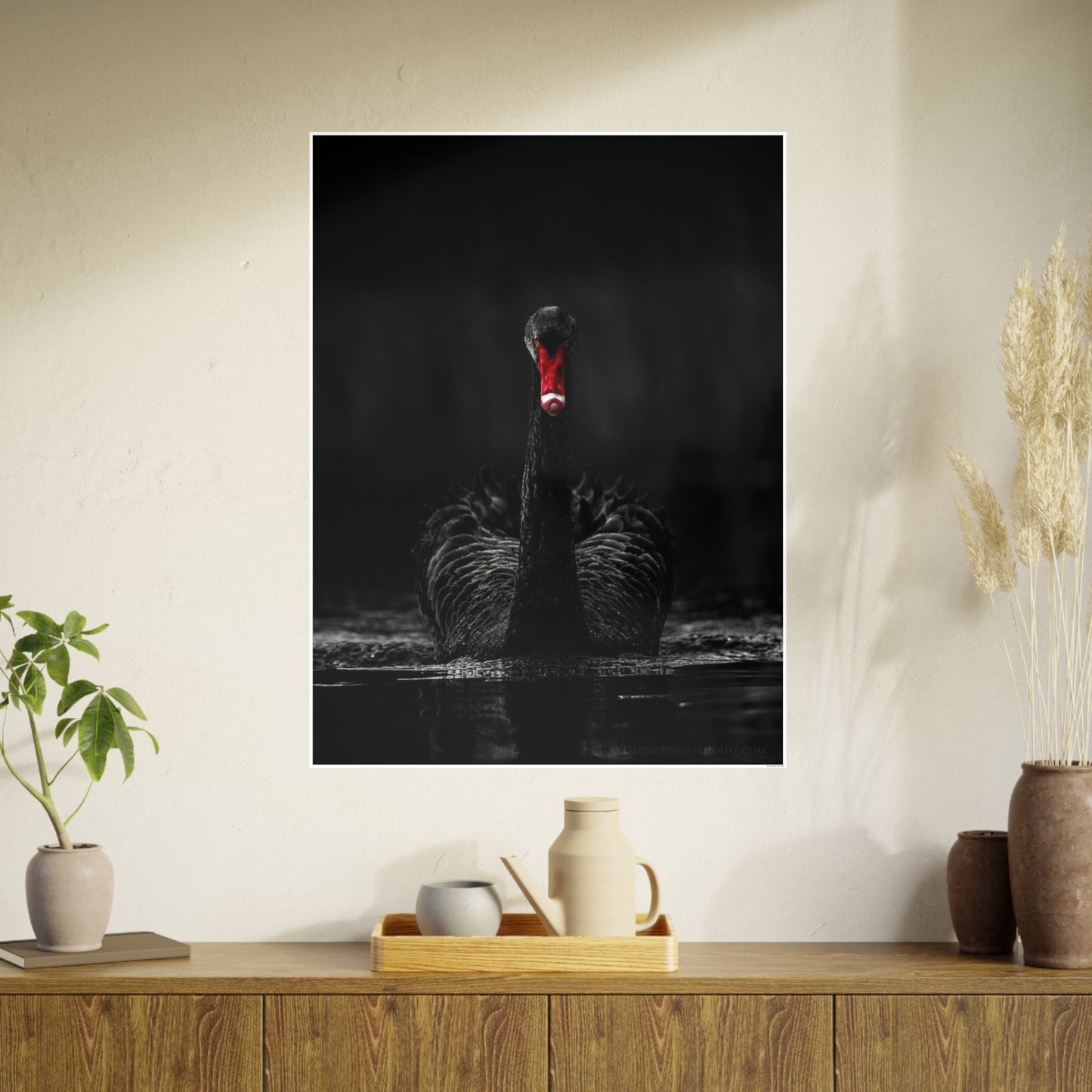 Black Swan Photo Art Paper Posters