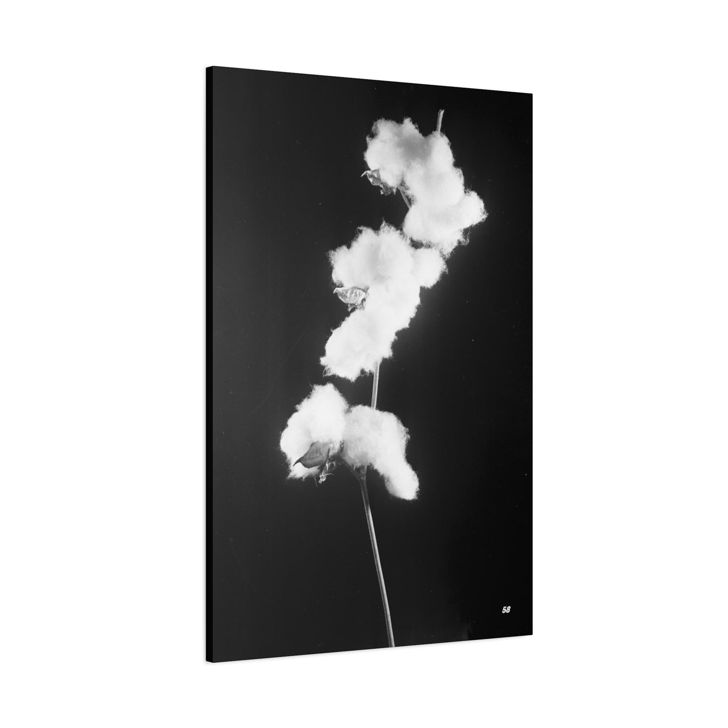 Cotton Matte Canvas, Stretched, 1.25"