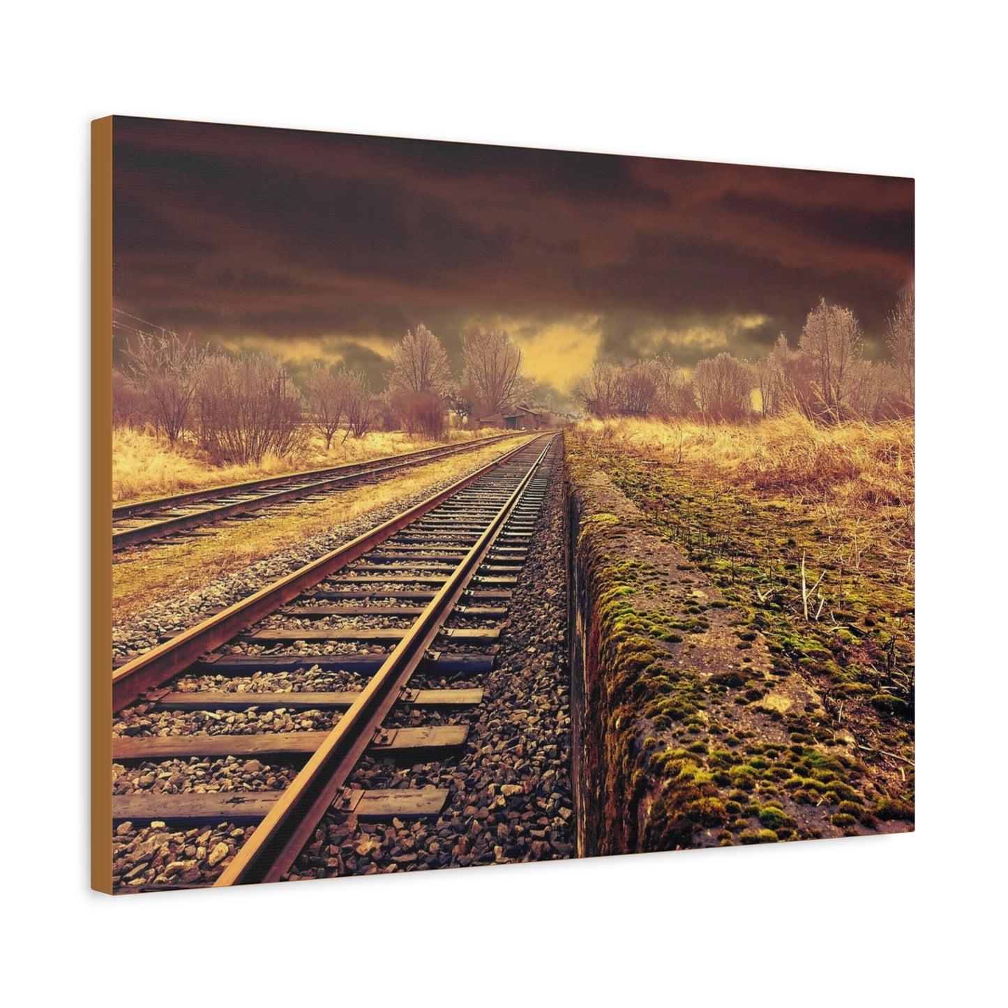 Tracks Matte Canvas, Stretched, 1.25"