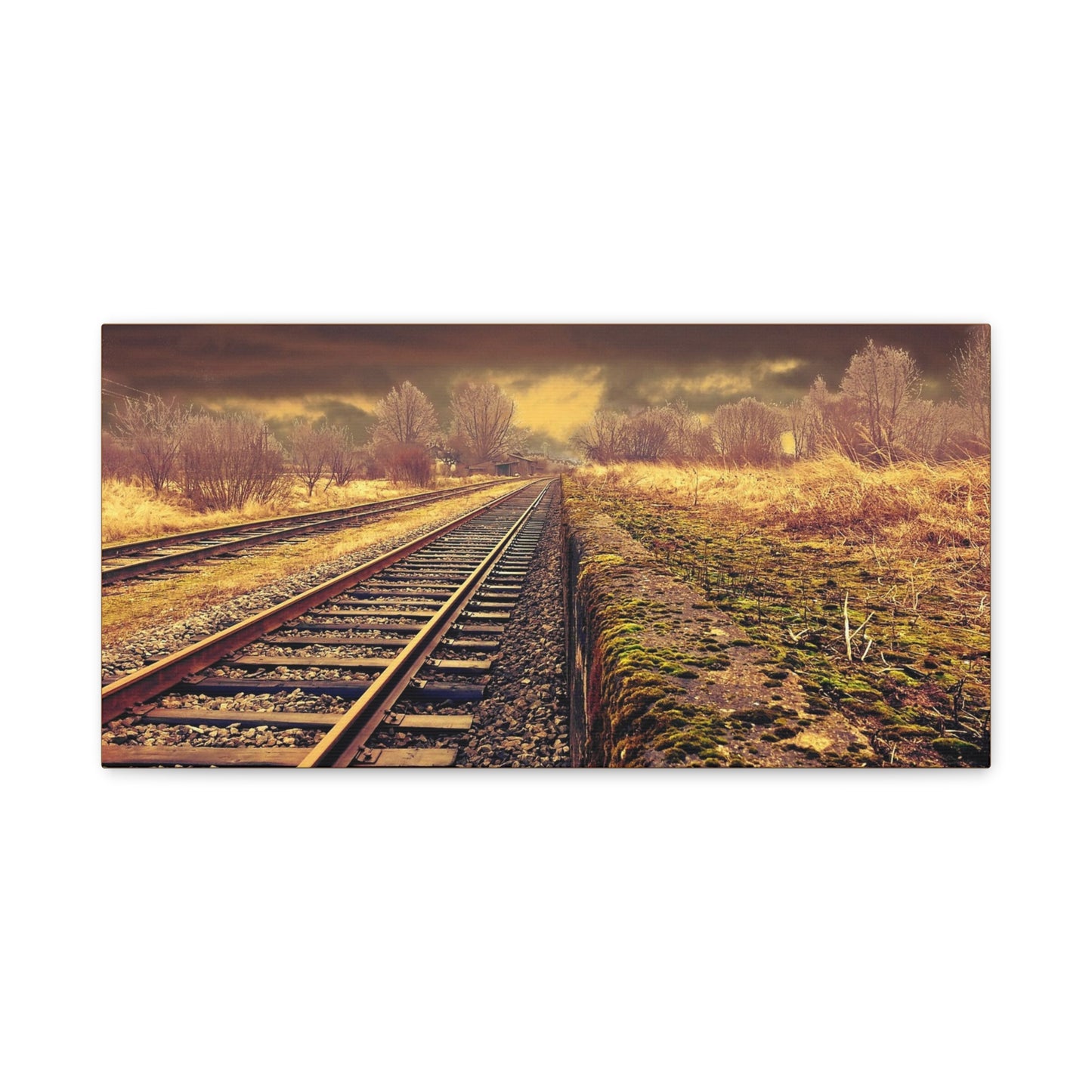 Tracks Matte Canvas, Stretched, 1.25"