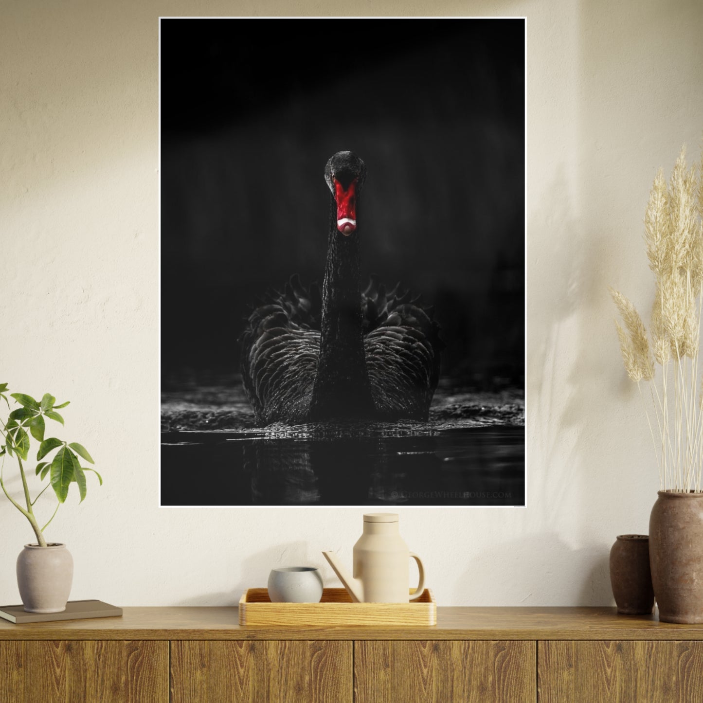 Black Swan Photo Art Paper Posters