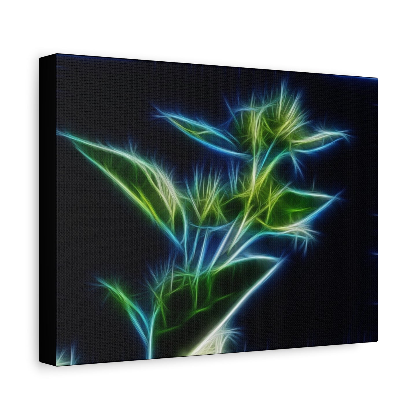 Flowers Matte Canvas, Stretched, 1.25"