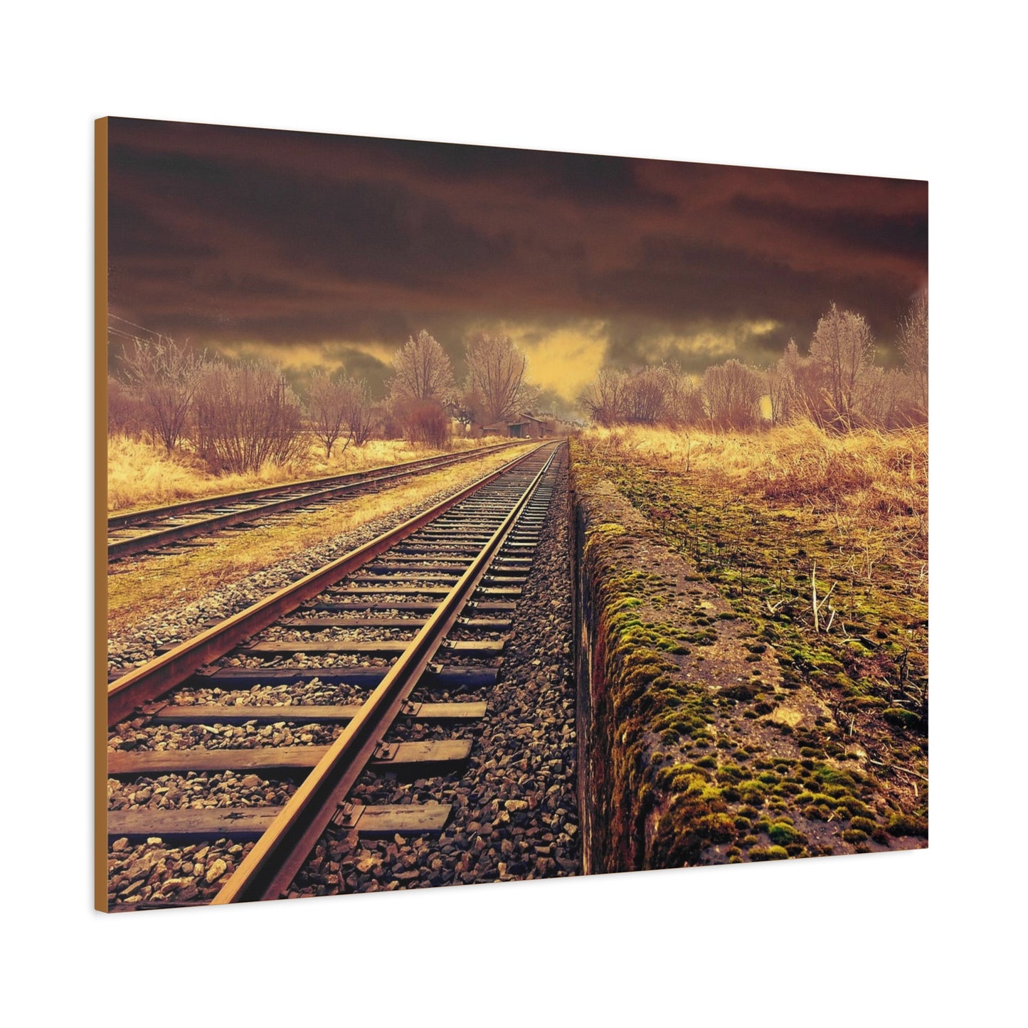 Tracks Matte Canvas, Stretched, 1.25"