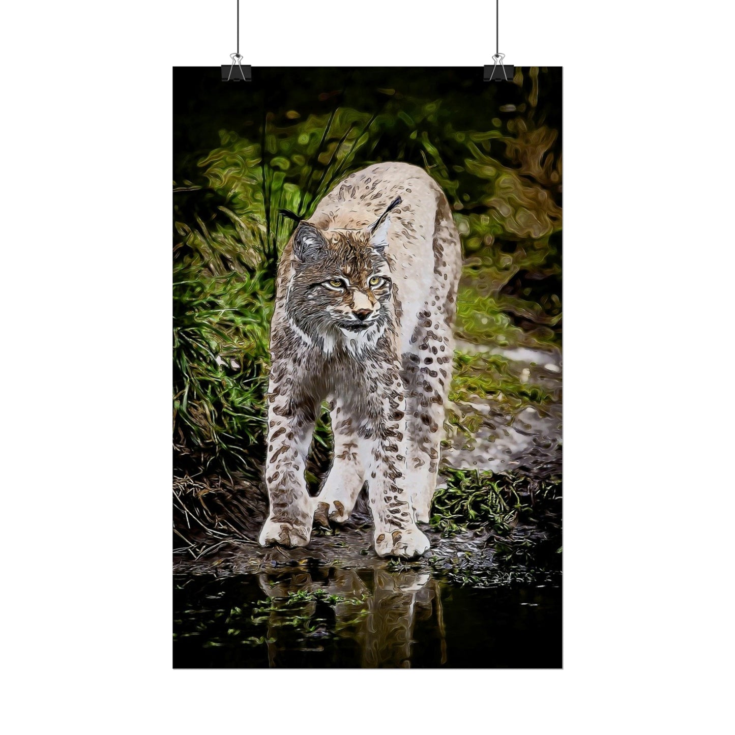 Bobcat Rolled Posters