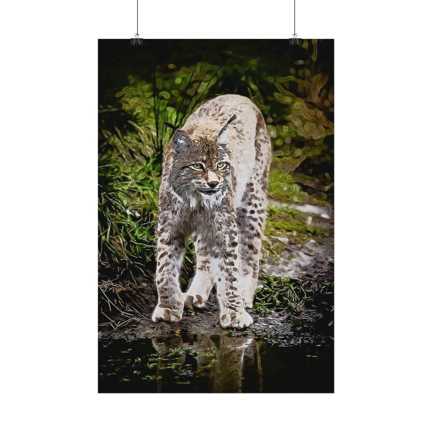 Bobcat Rolled Posters