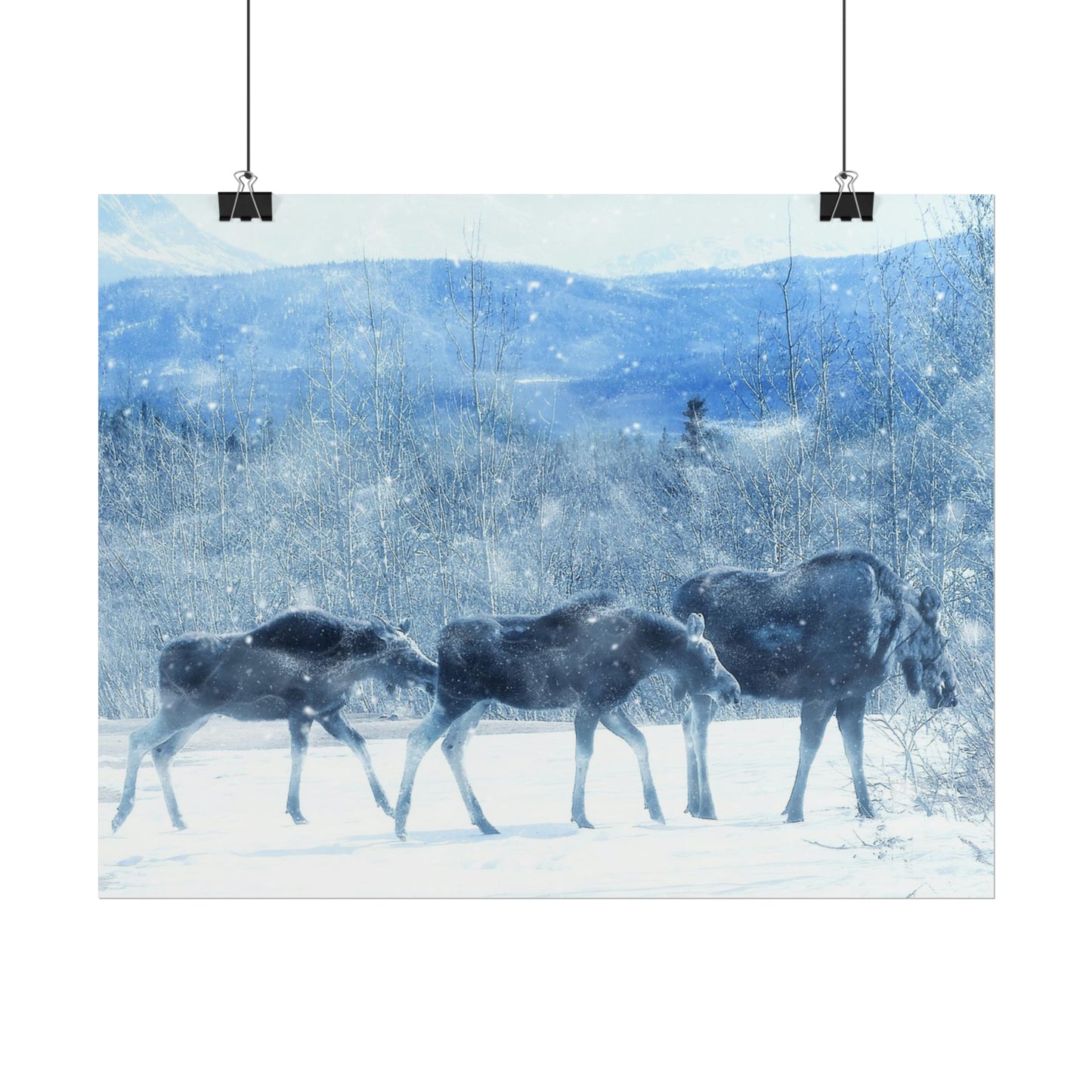 Moose Rolled Posters