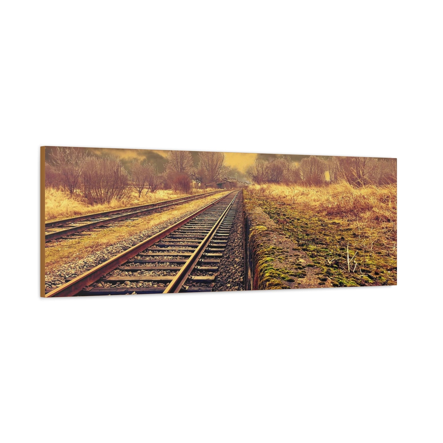 Tracks Matte Canvas, Stretched, 1.25"