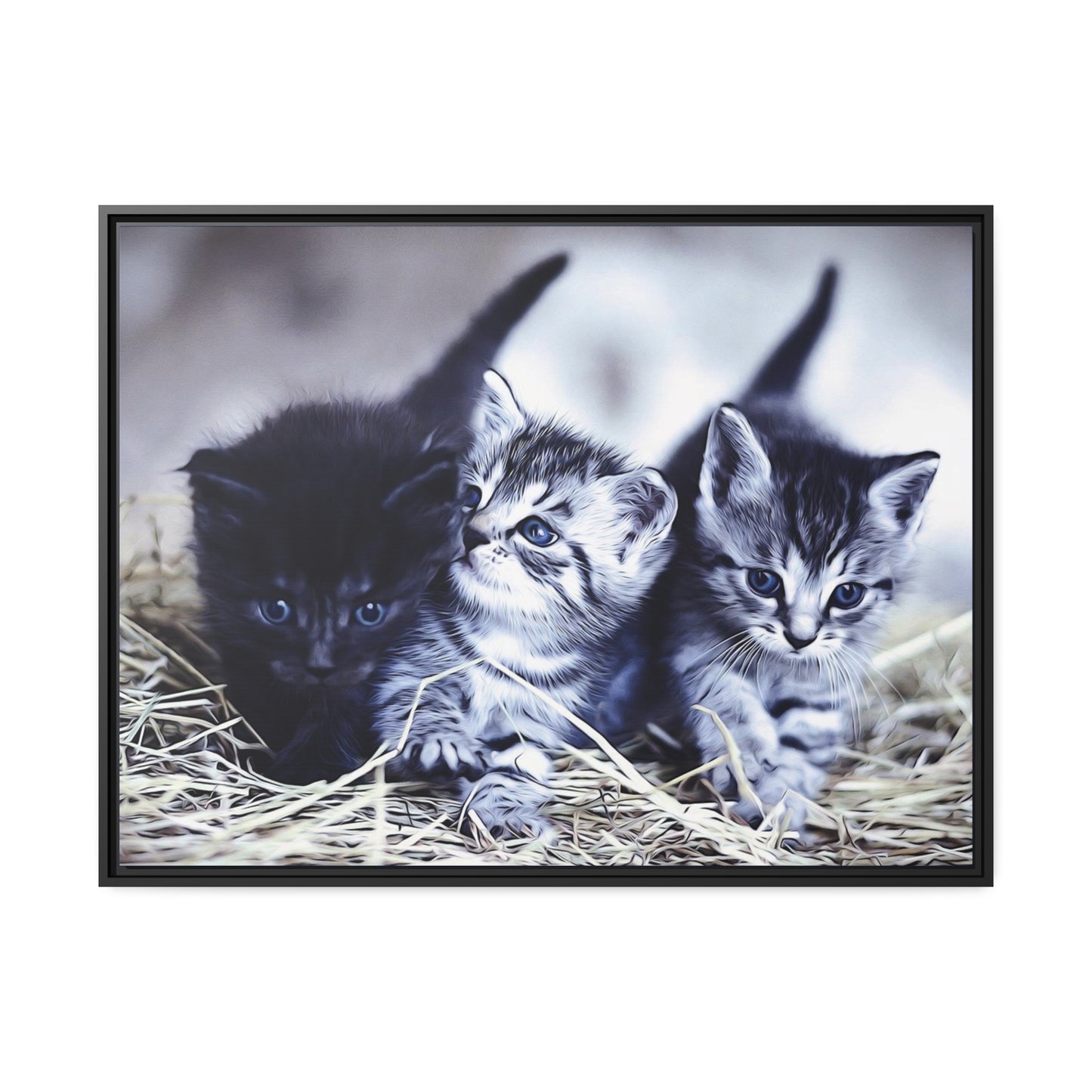 Kitten Matte Canvas, Black Frame