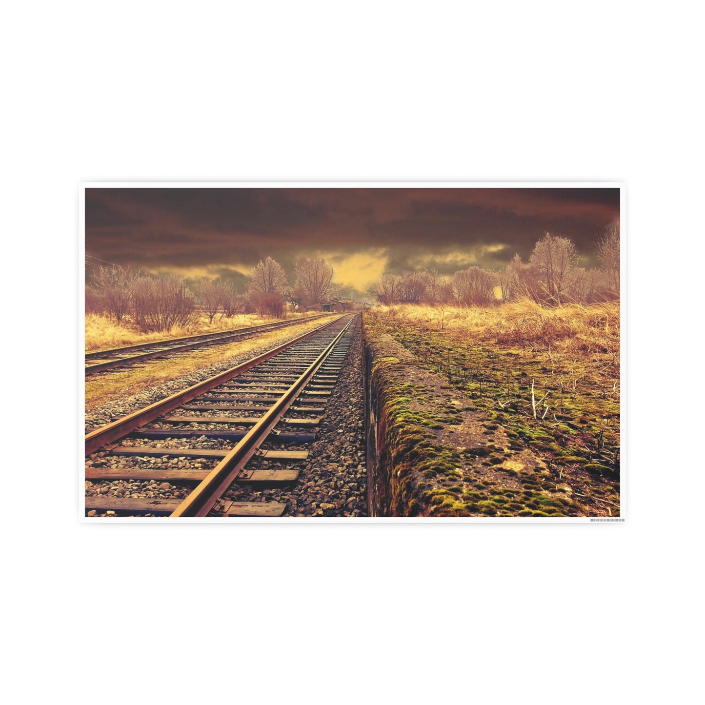 Tracks Photo Art Paper Posters