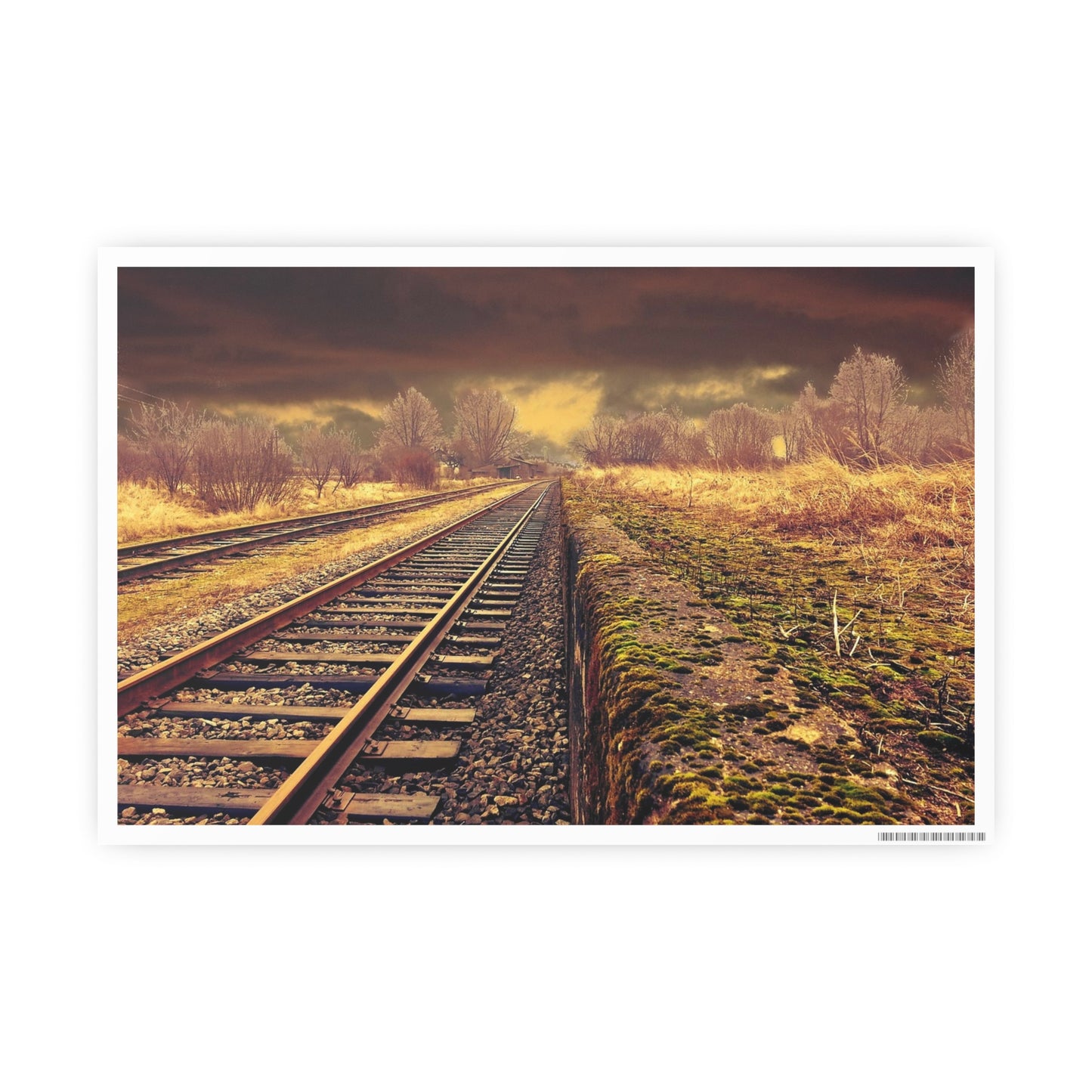 Tracks Photo Art Paper Posters