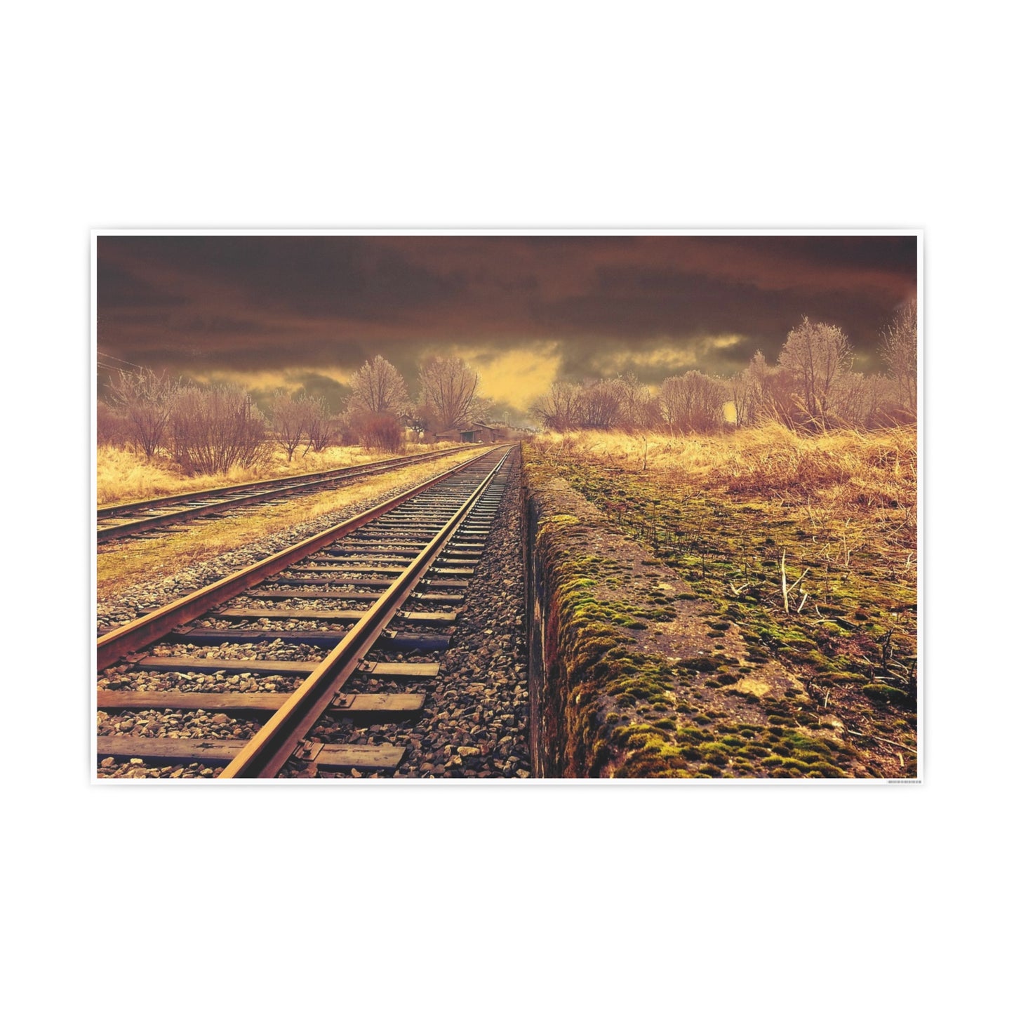 Tracks Photo Art Paper Posters