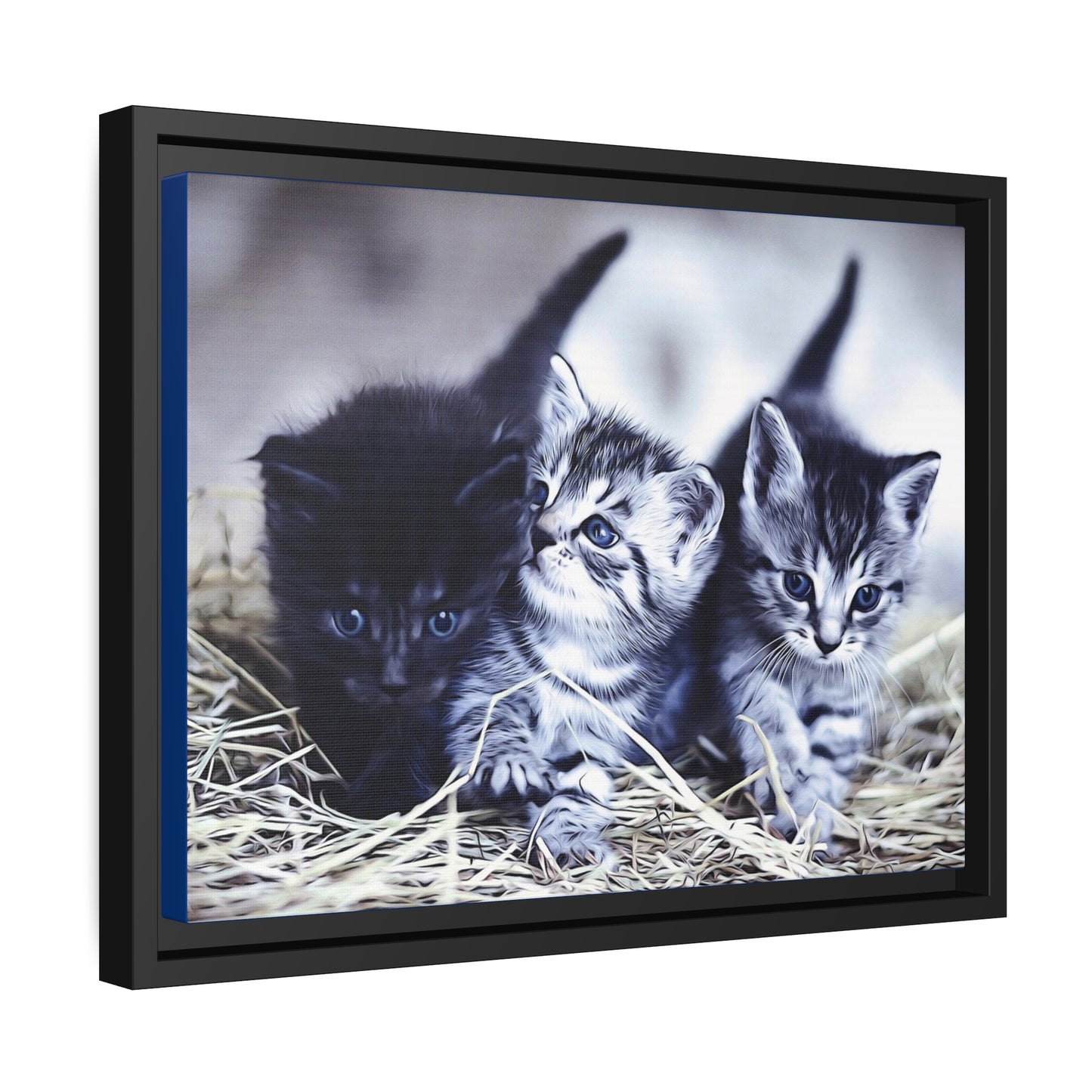 Kitten Matte Canvas, Black Frame