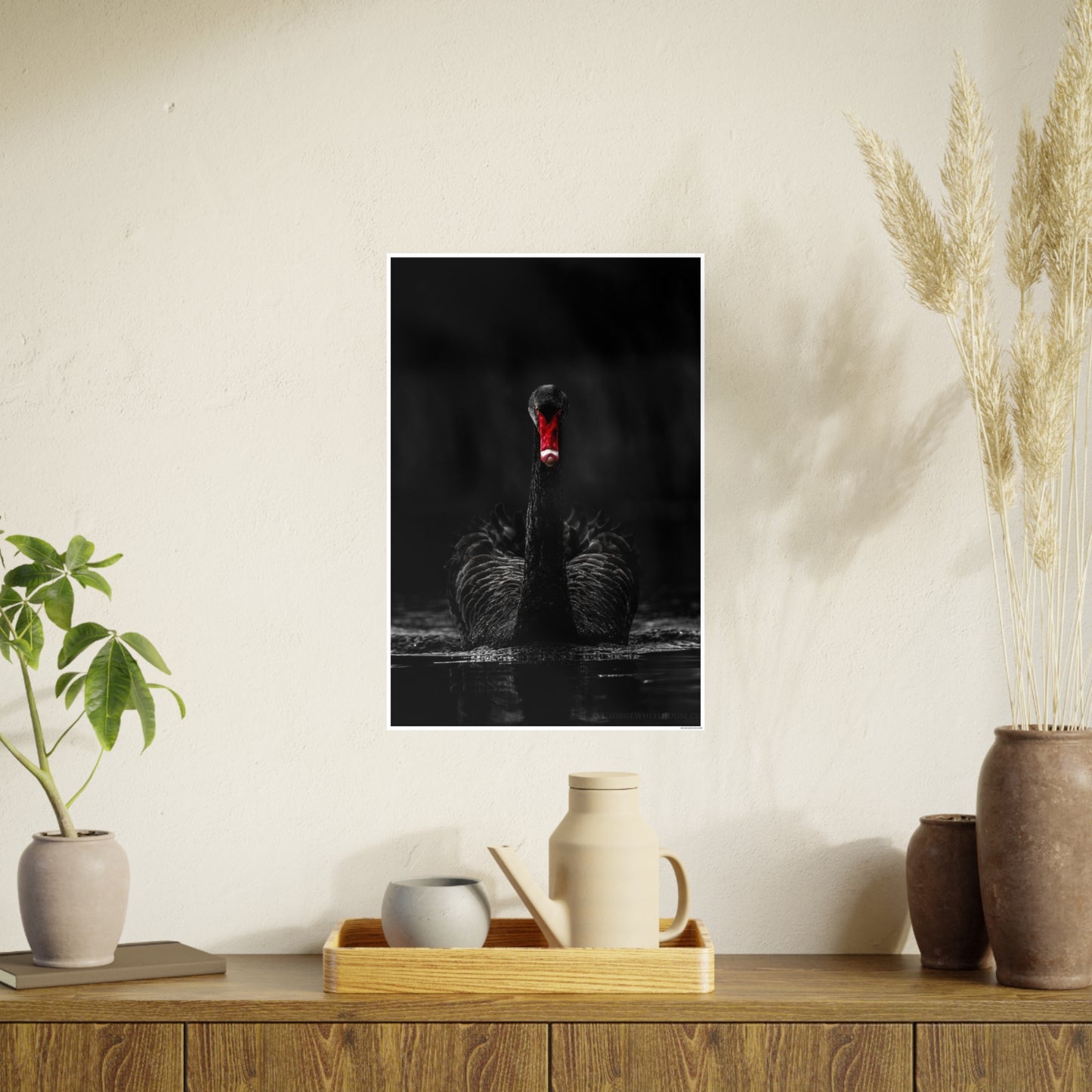 Black Swan Photo Art Paper Posters