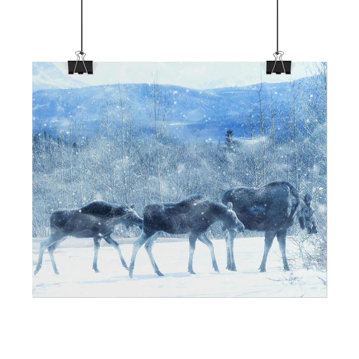 Moose Rolled Posters