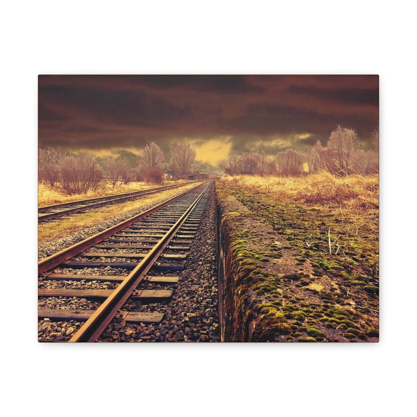 Tracks Matte Canvas, Stretched, 1.25"