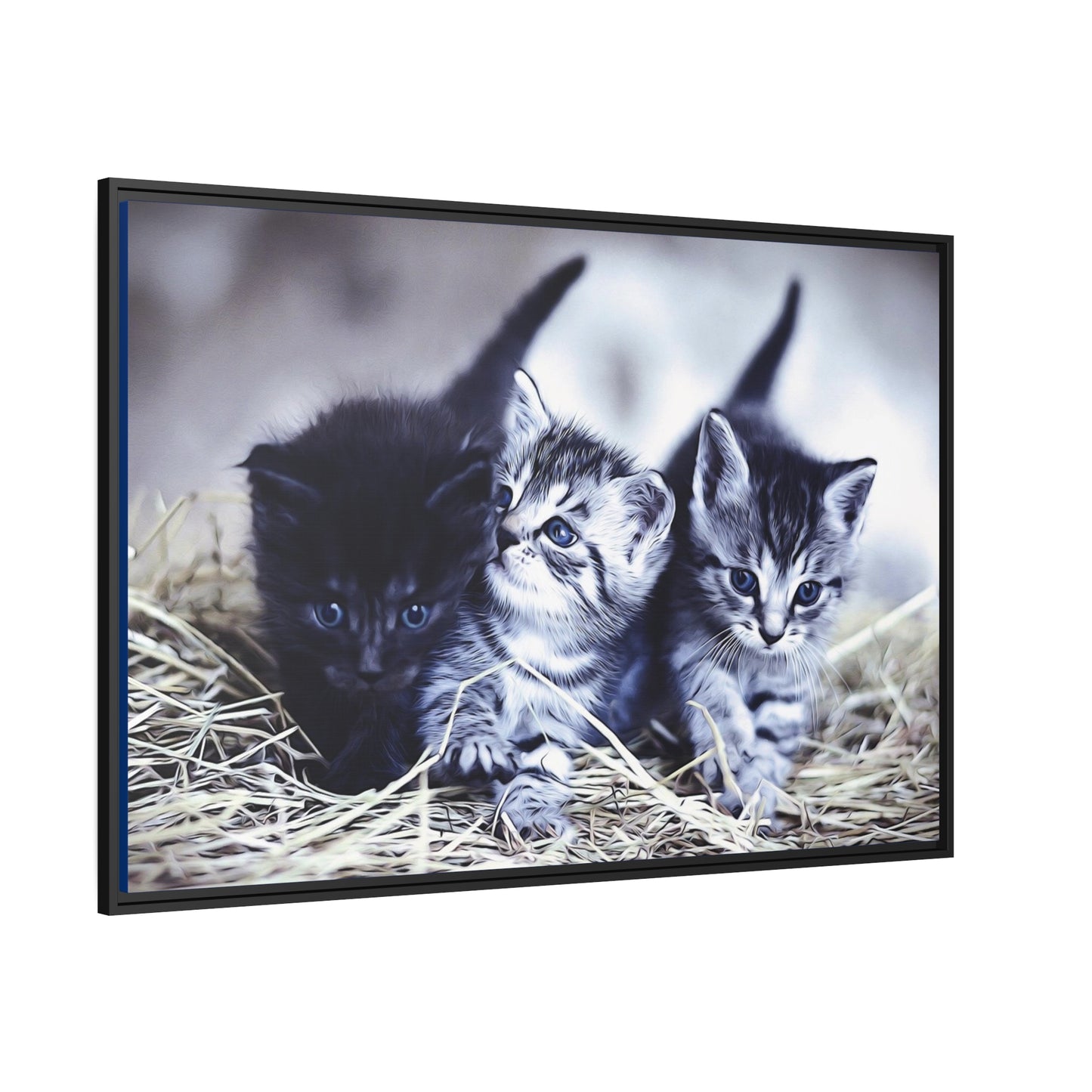 Kitten Matte Canvas, Black Frame
