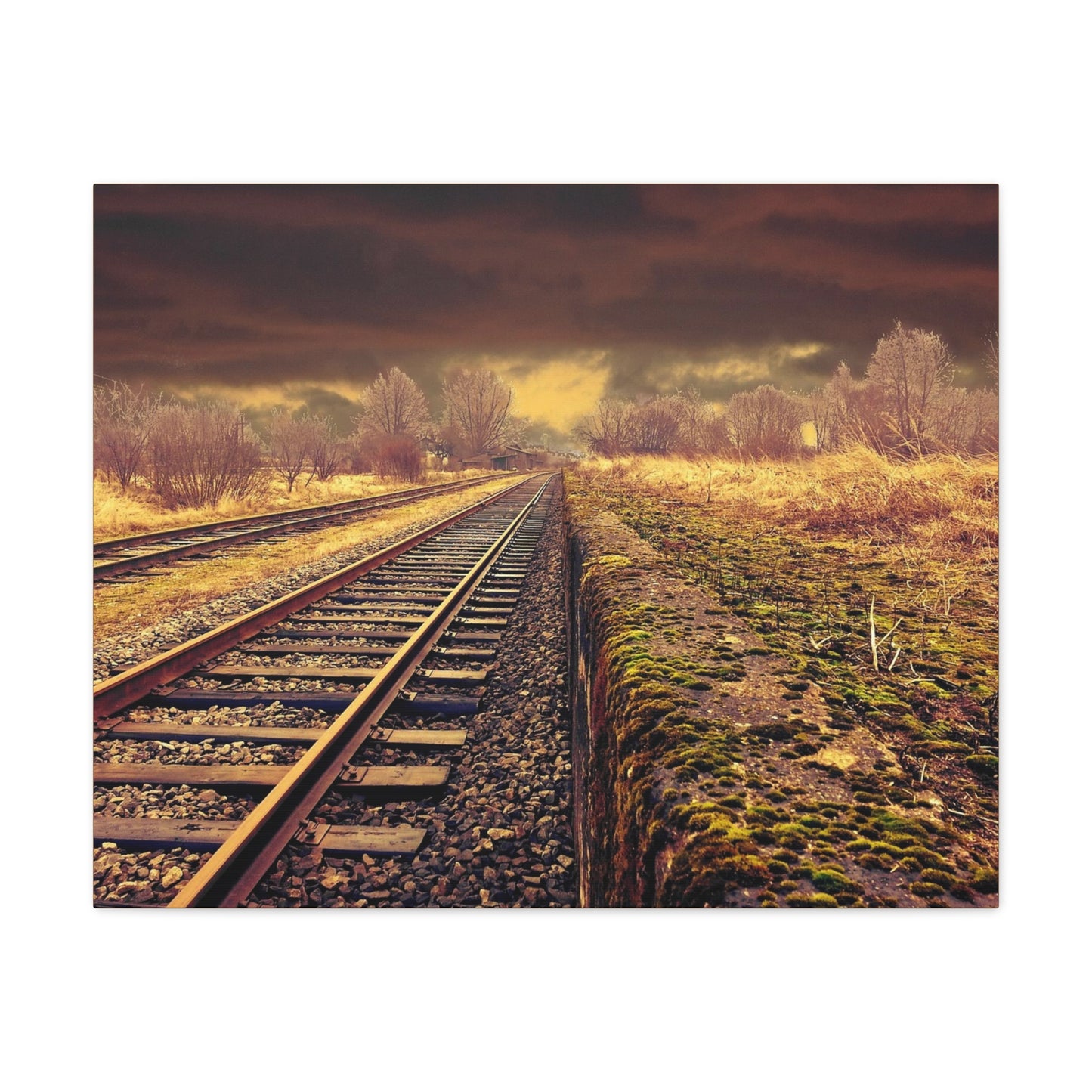 Tracks Matte Canvas, Stretched, 1.25"