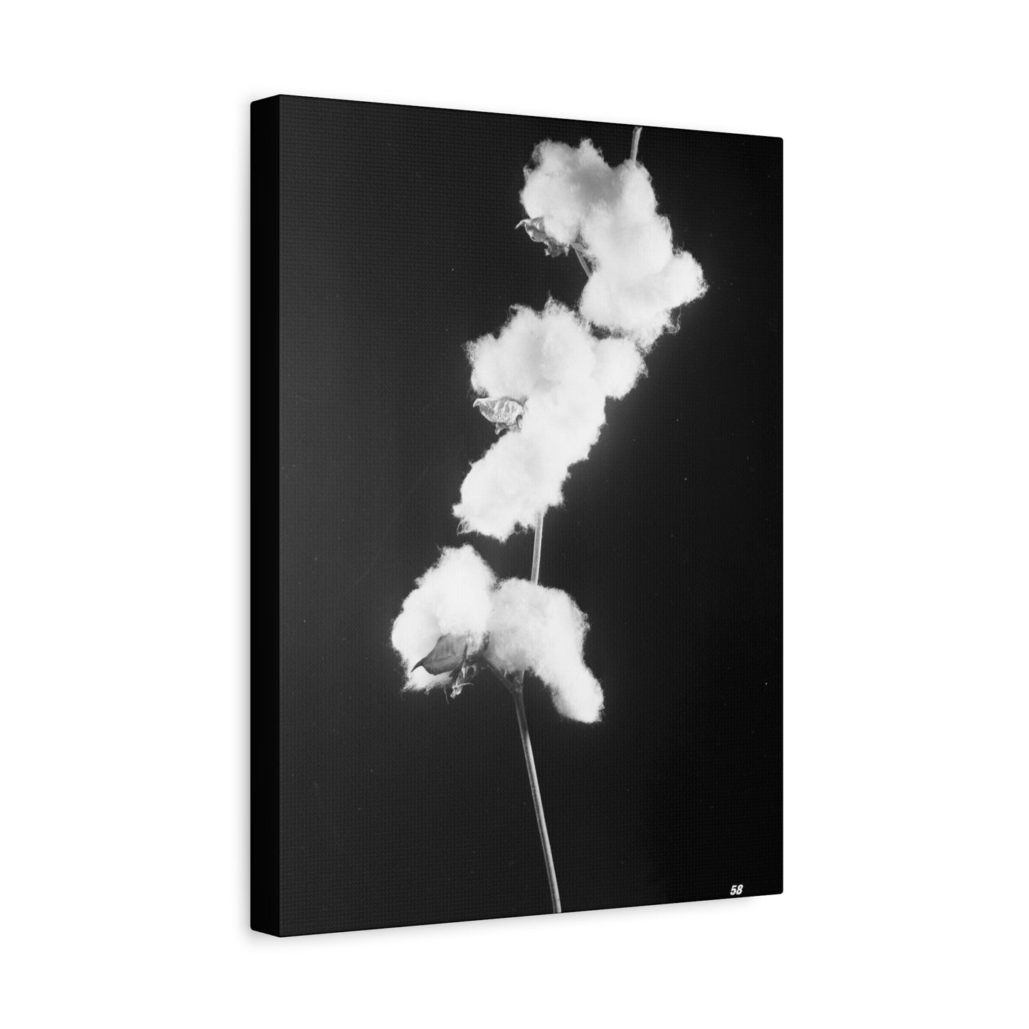 Cotton Matte Canvas, Stretched, 1.25"