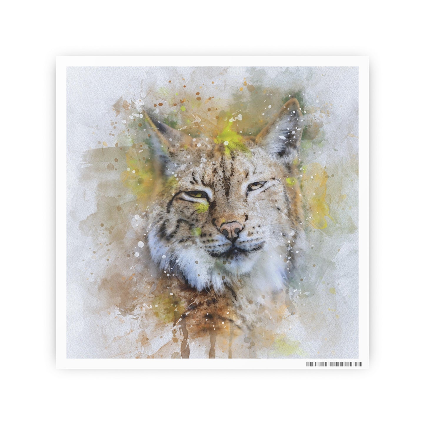 Bobcat Photo Art Paper Posters