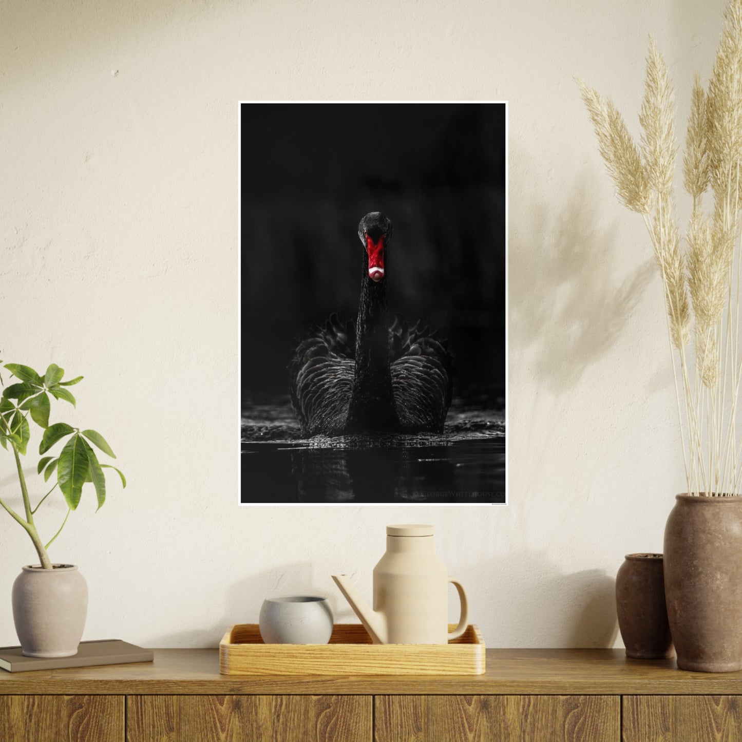 Black Swan Photo Art Paper Posters