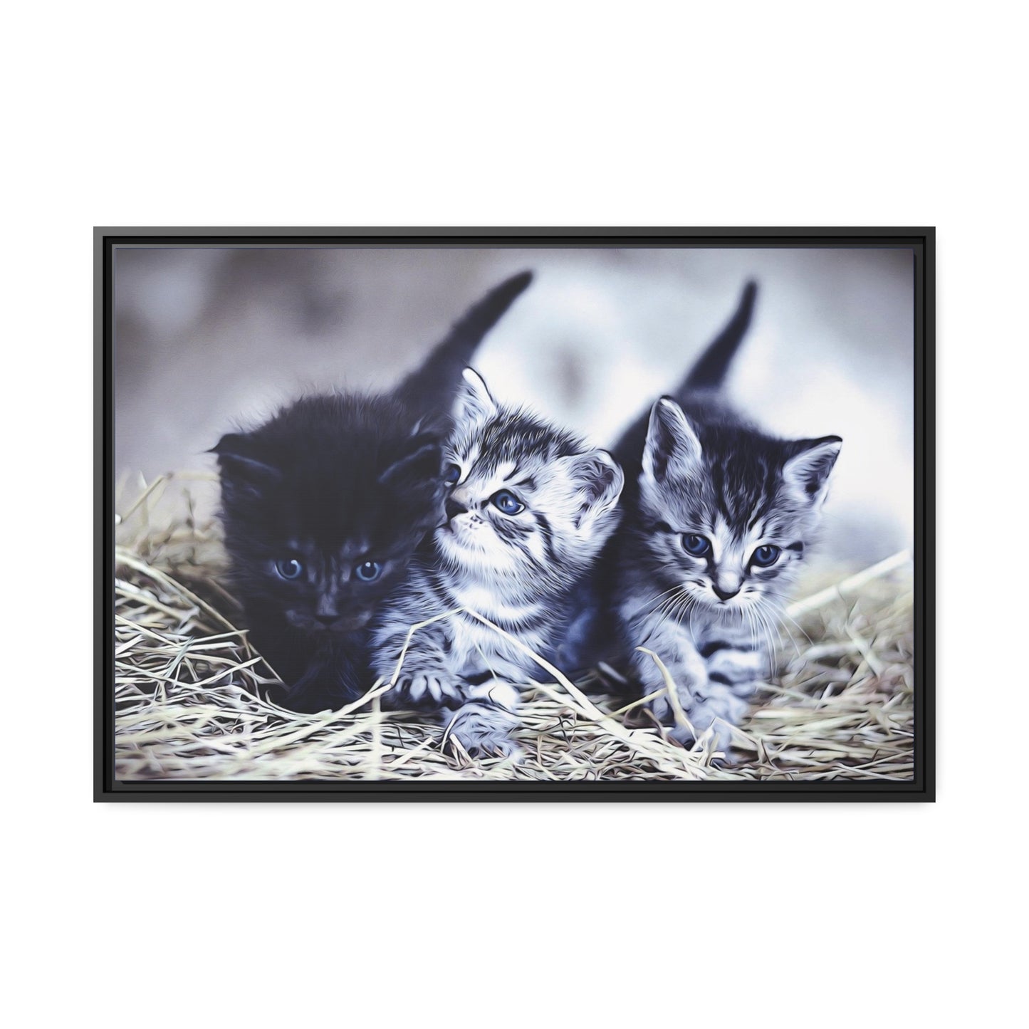 Kitten Matte Canvas, Black Frame