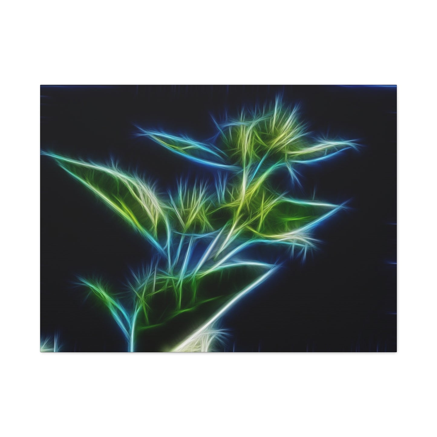 Flowers Matte Canvas, Stretched, 1.25"