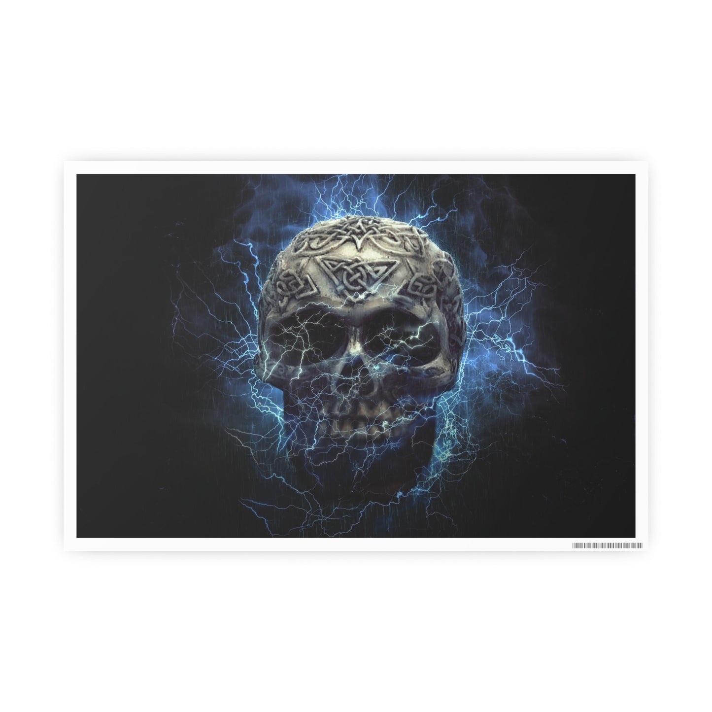 Skull Photo Art Paper Posters