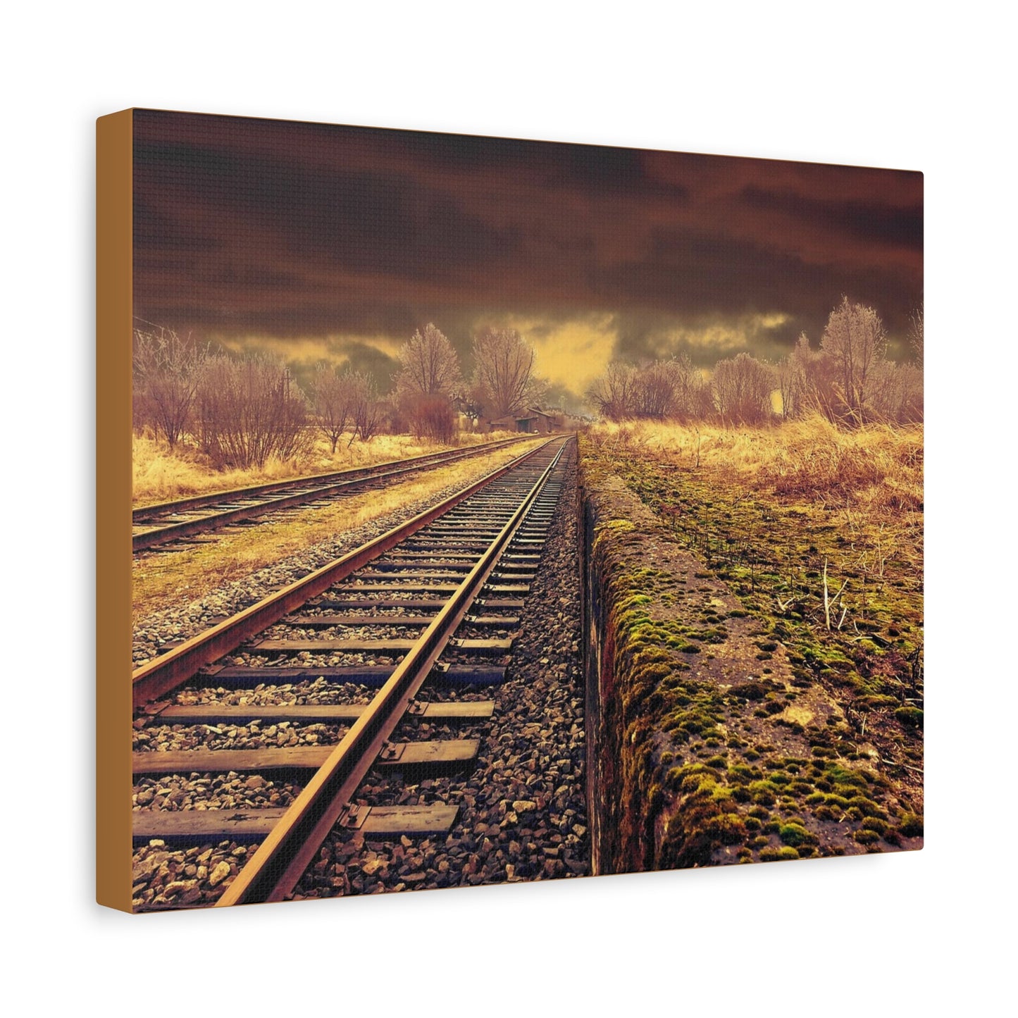 Tracks Matte Canvas, Stretched, 1.25"