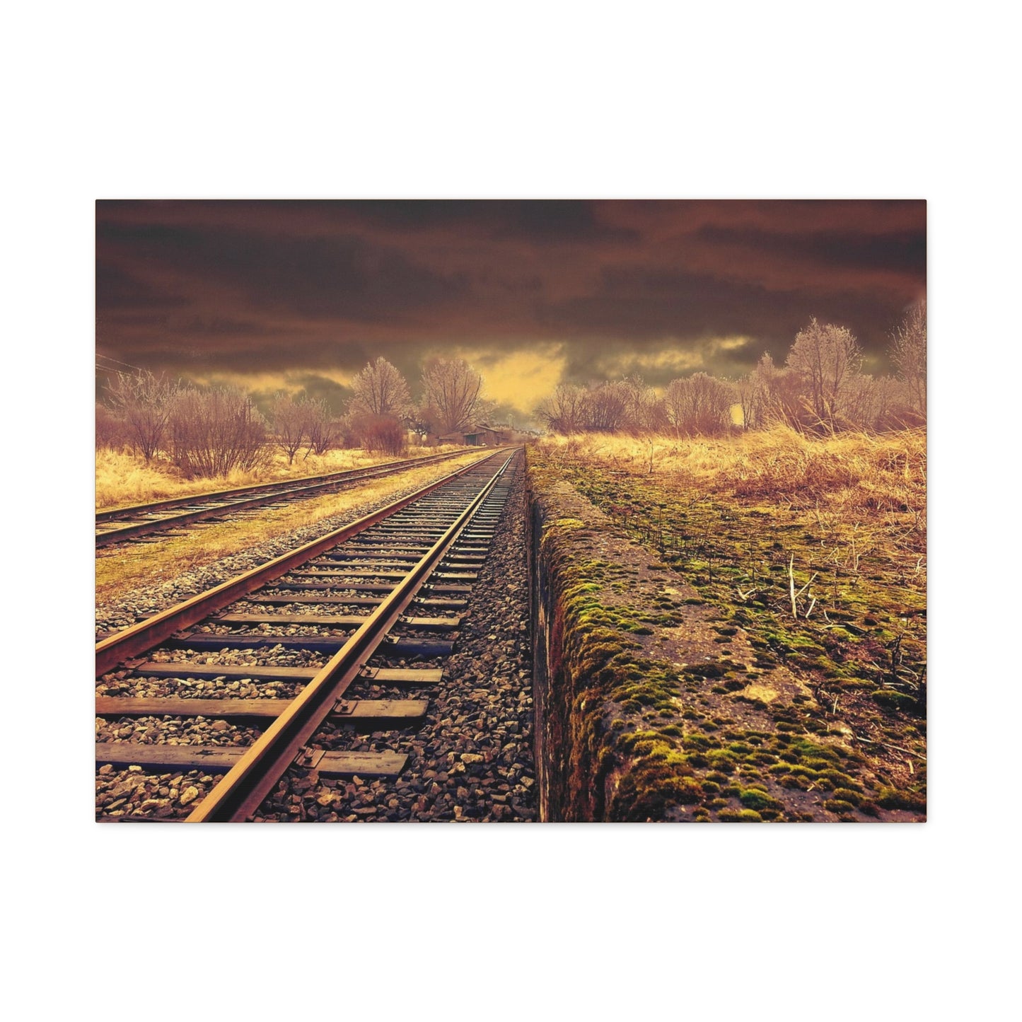 Tracks Matte Canvas, Stretched, 1.25"