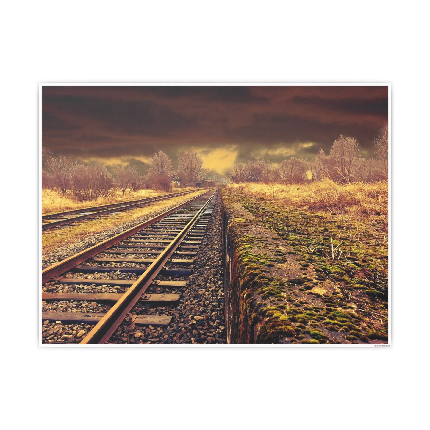 Tracks Photo Art Paper Posters