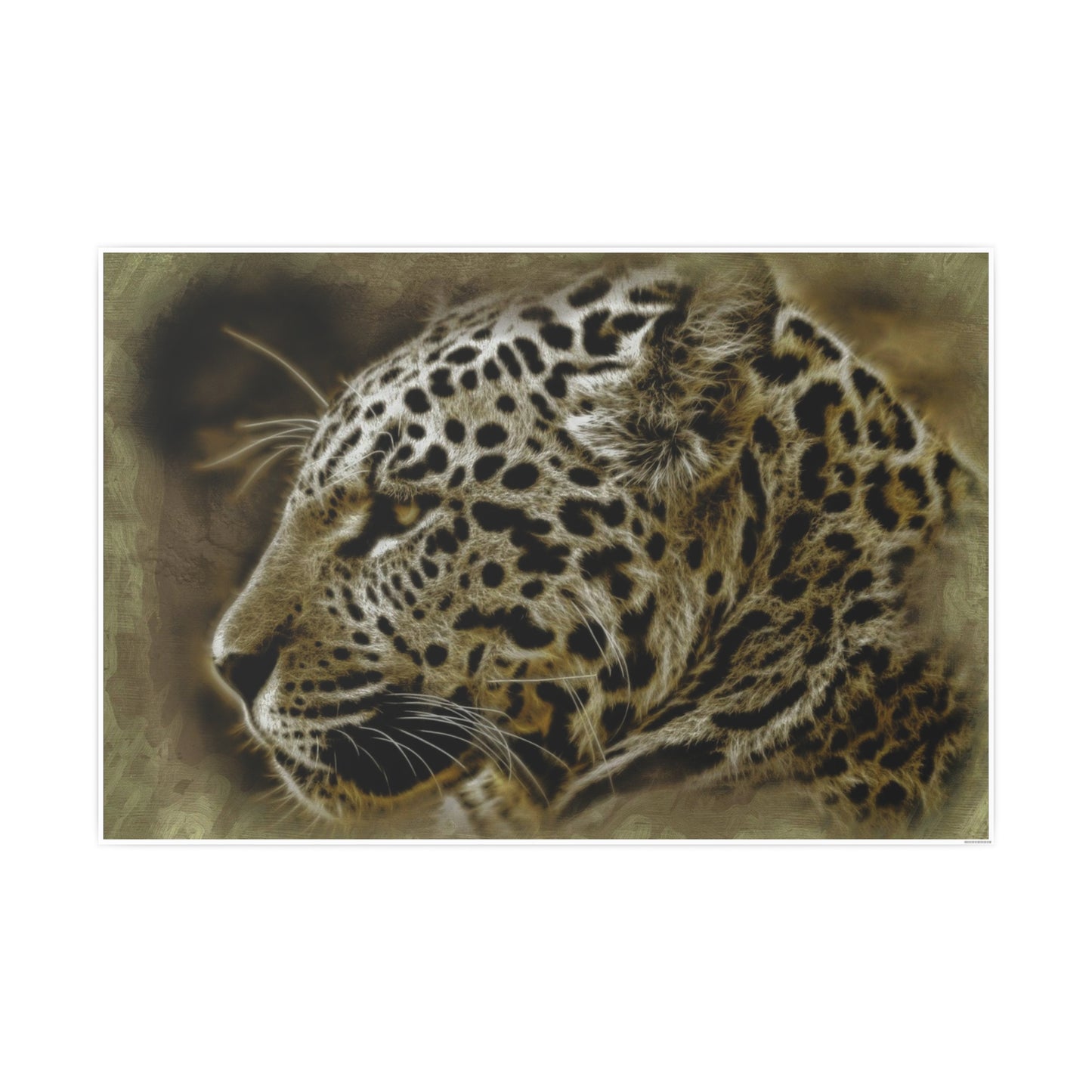 Jaguar Photo Art Paper Posters
