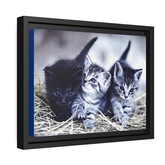 Kitten Matte Canvas, Black Frame