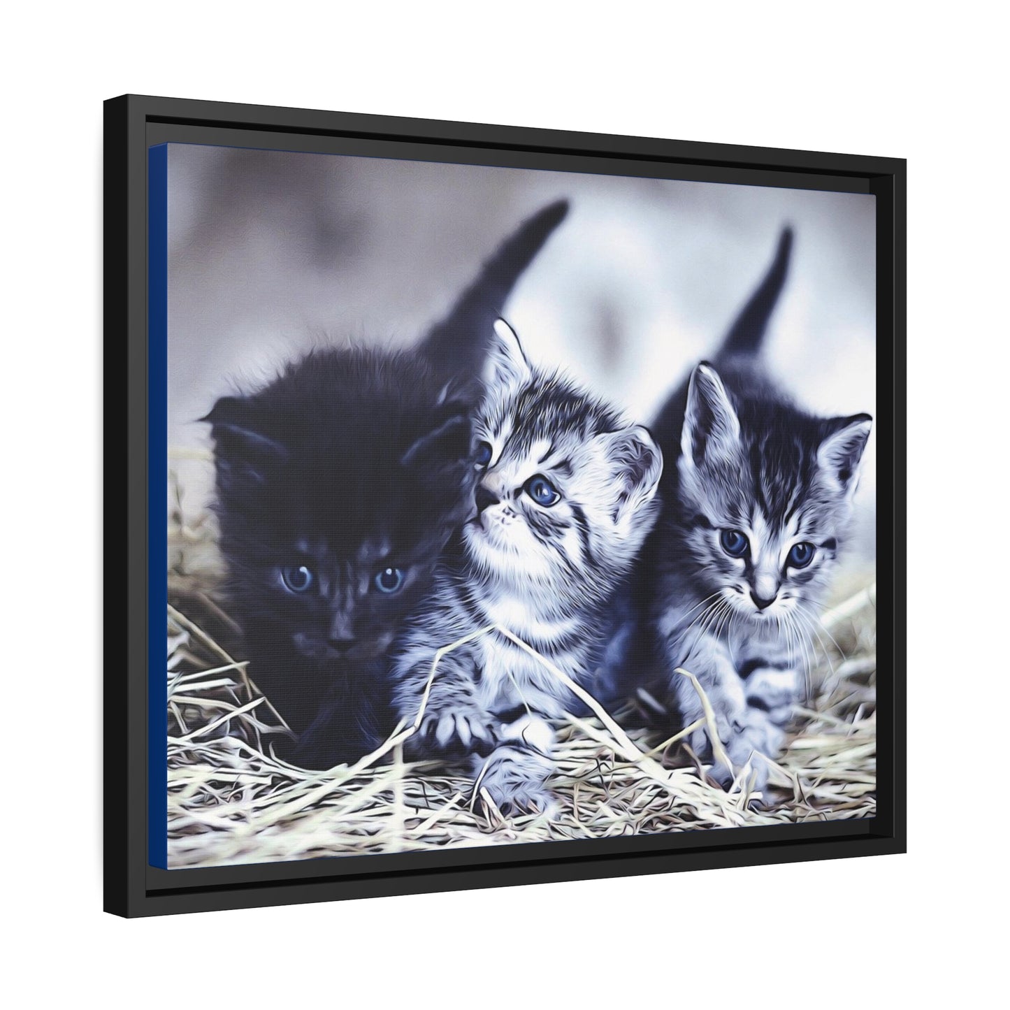 Kitten Matte Canvas, Black Frame