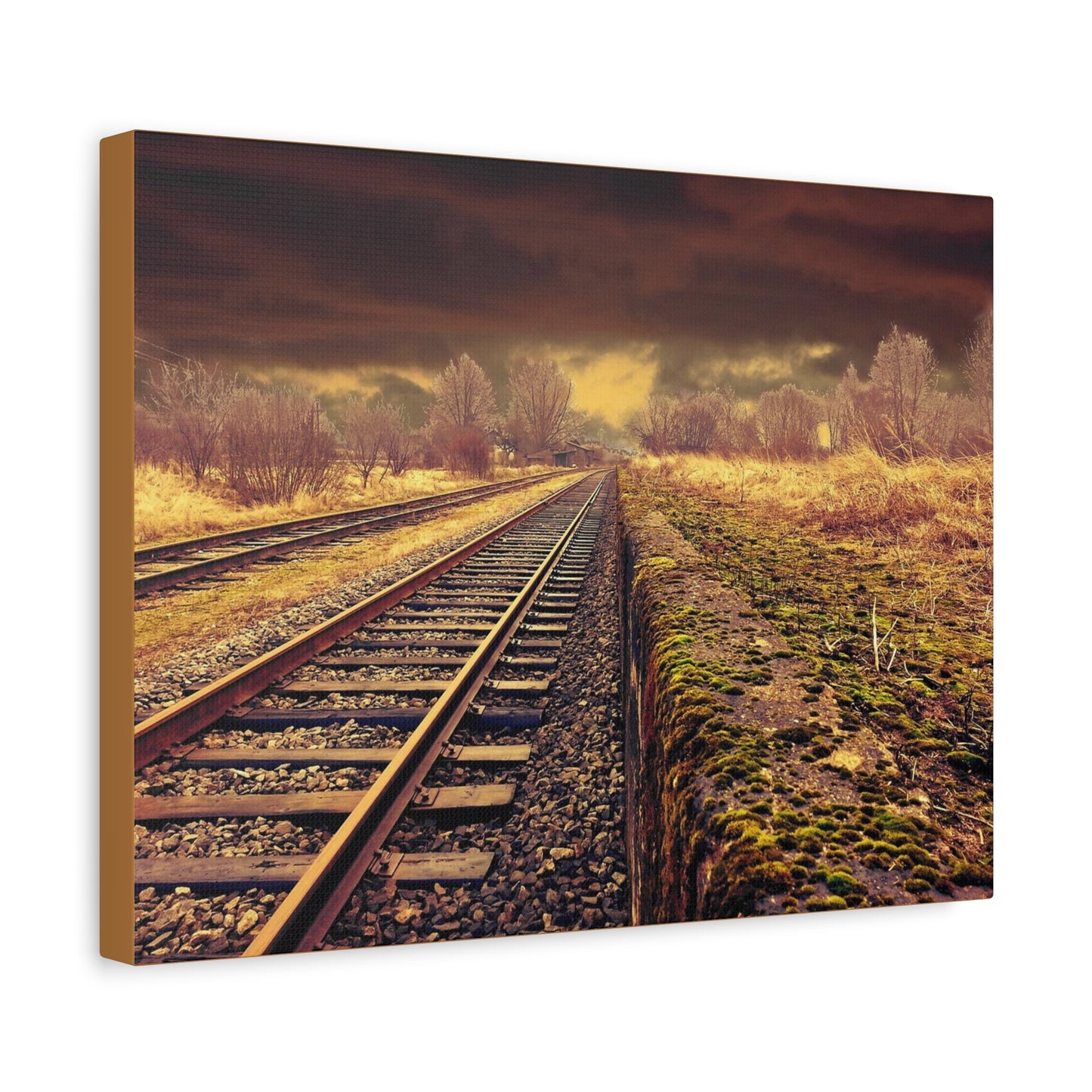 Tracks Matte Canvas, Stretched, 1.25"