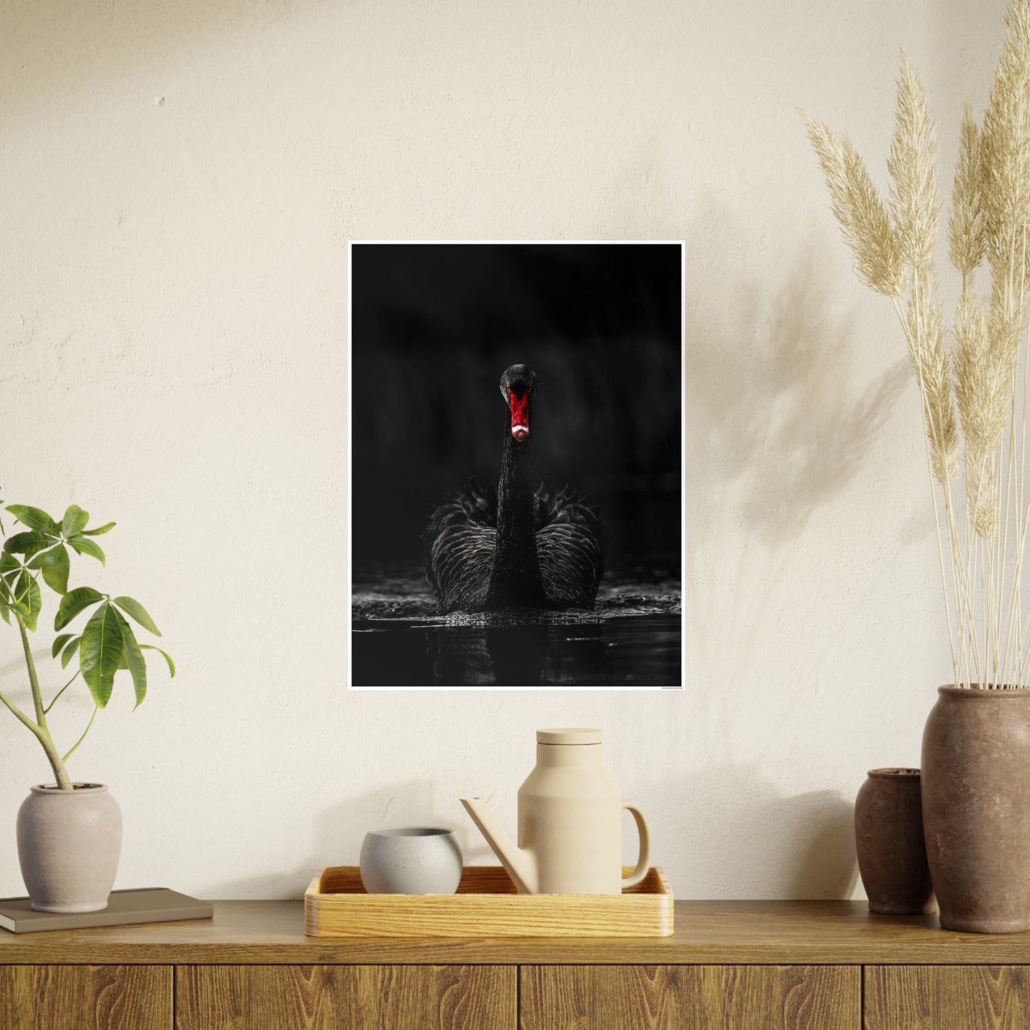 Black Swan Photo Art Paper Posters