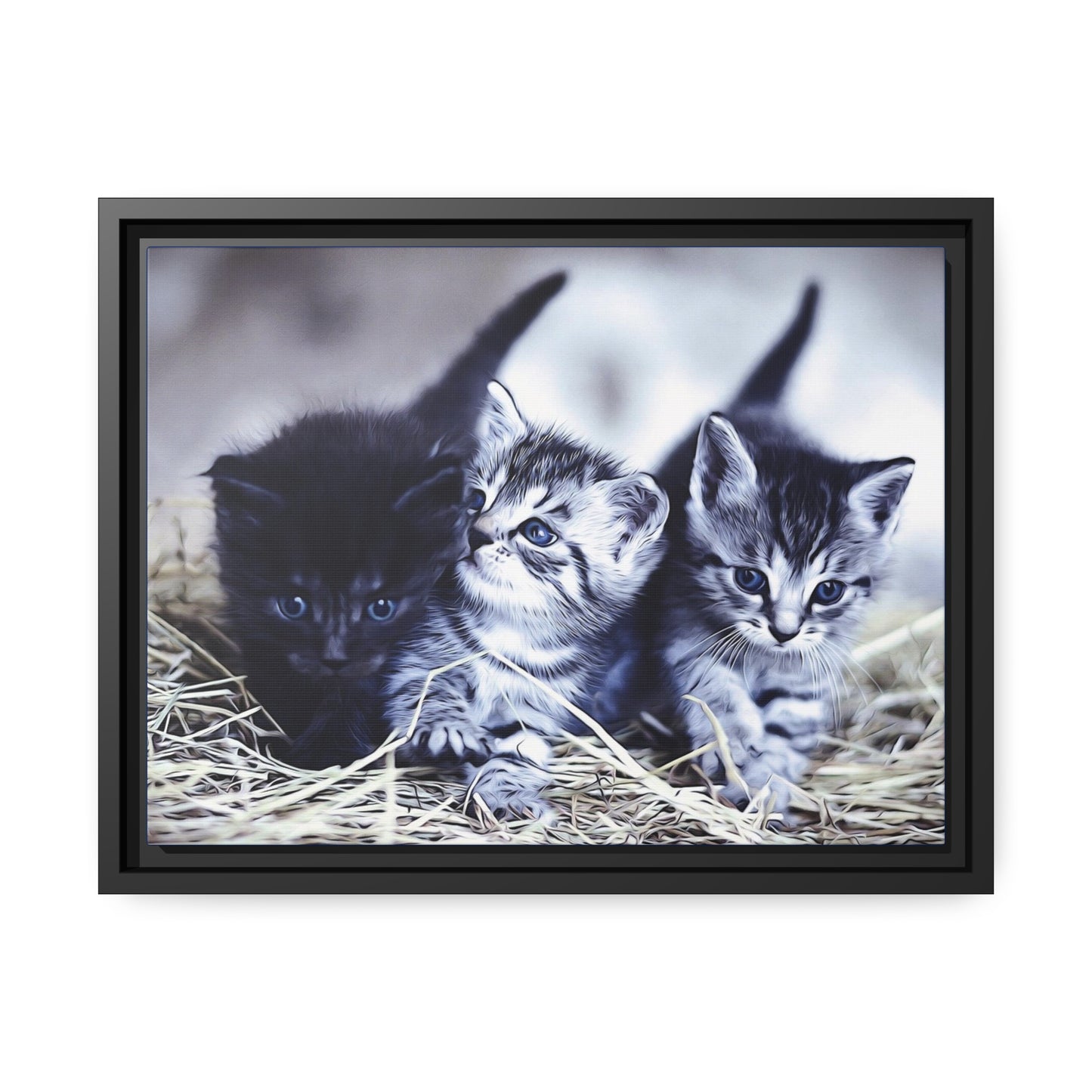 Kitten Matte Canvas, Black Frame