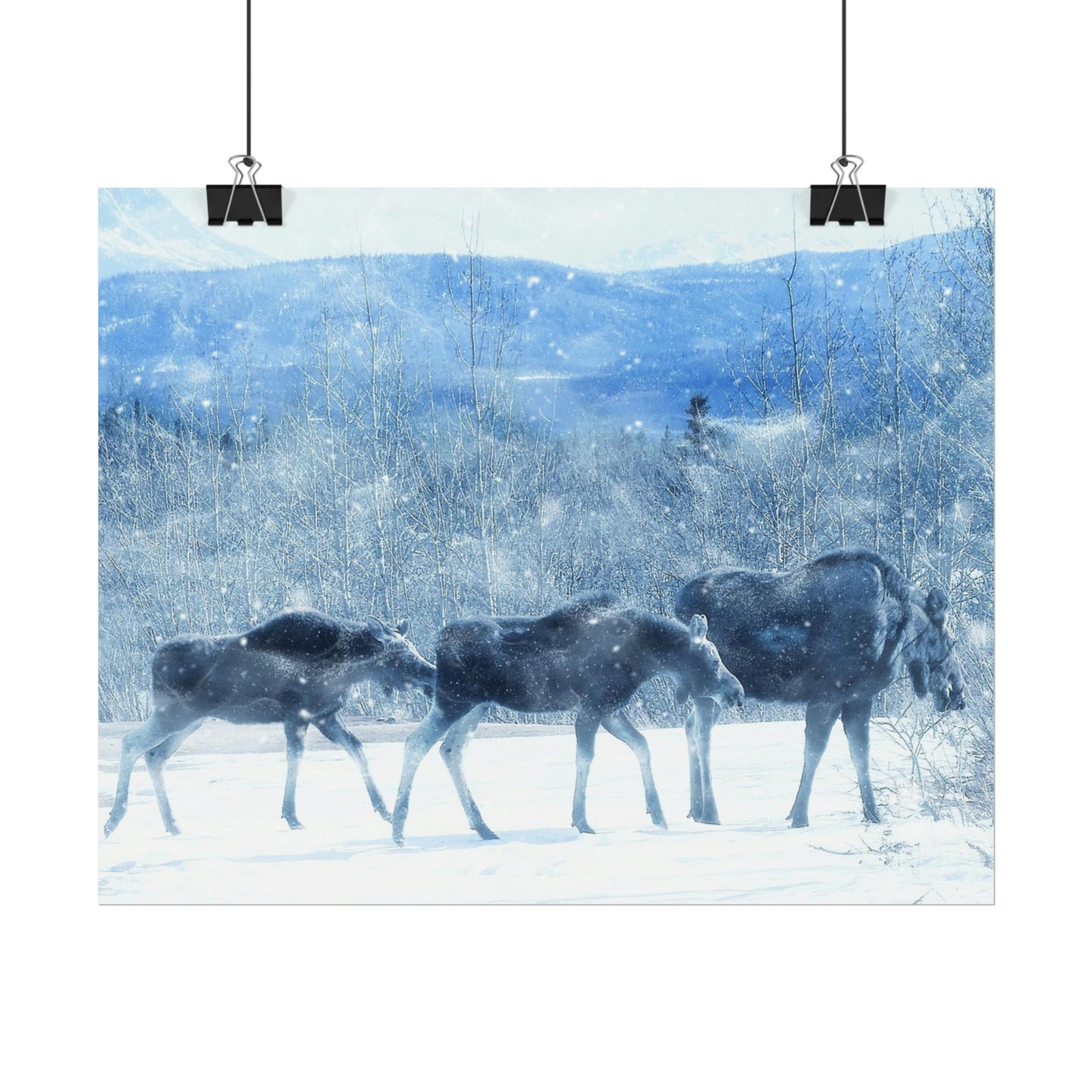 Moose Rolled Posters