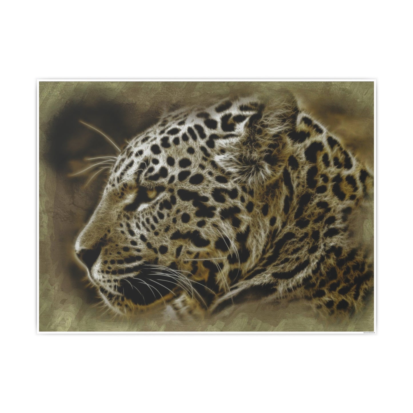 Jaguar Photo Art Paper Posters