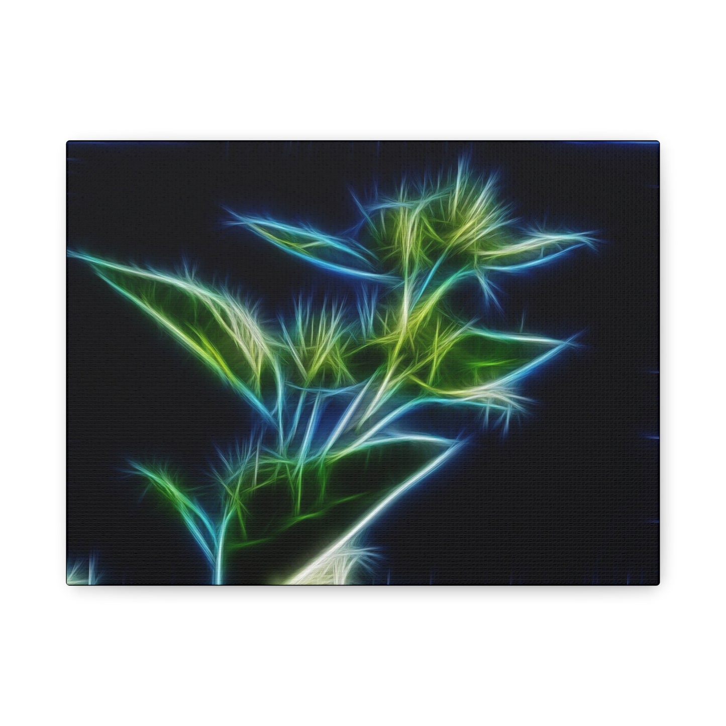 Flowers Matte Canvas, Stretched, 1.25"